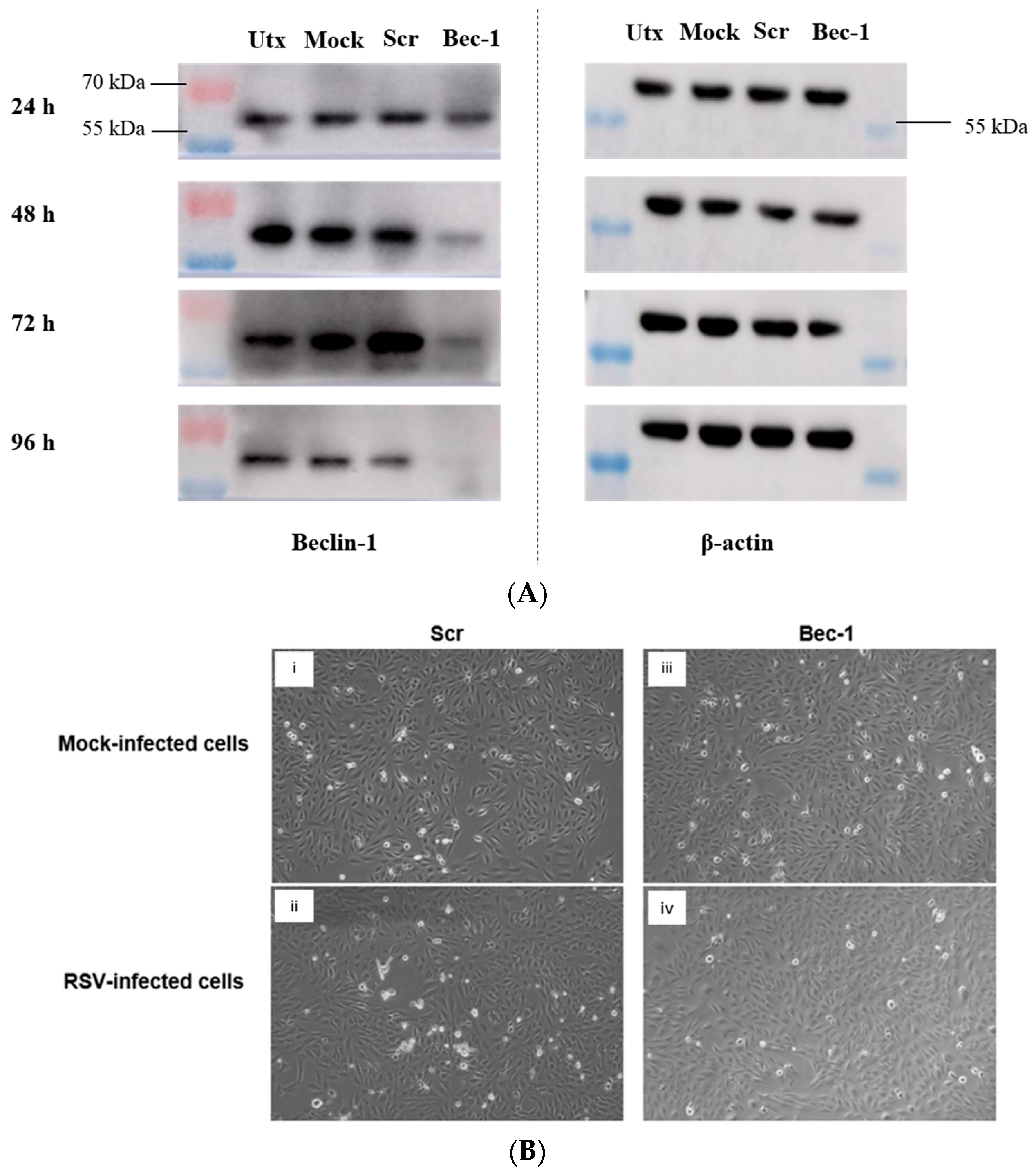 Tropicalmed 08 00434 g001a