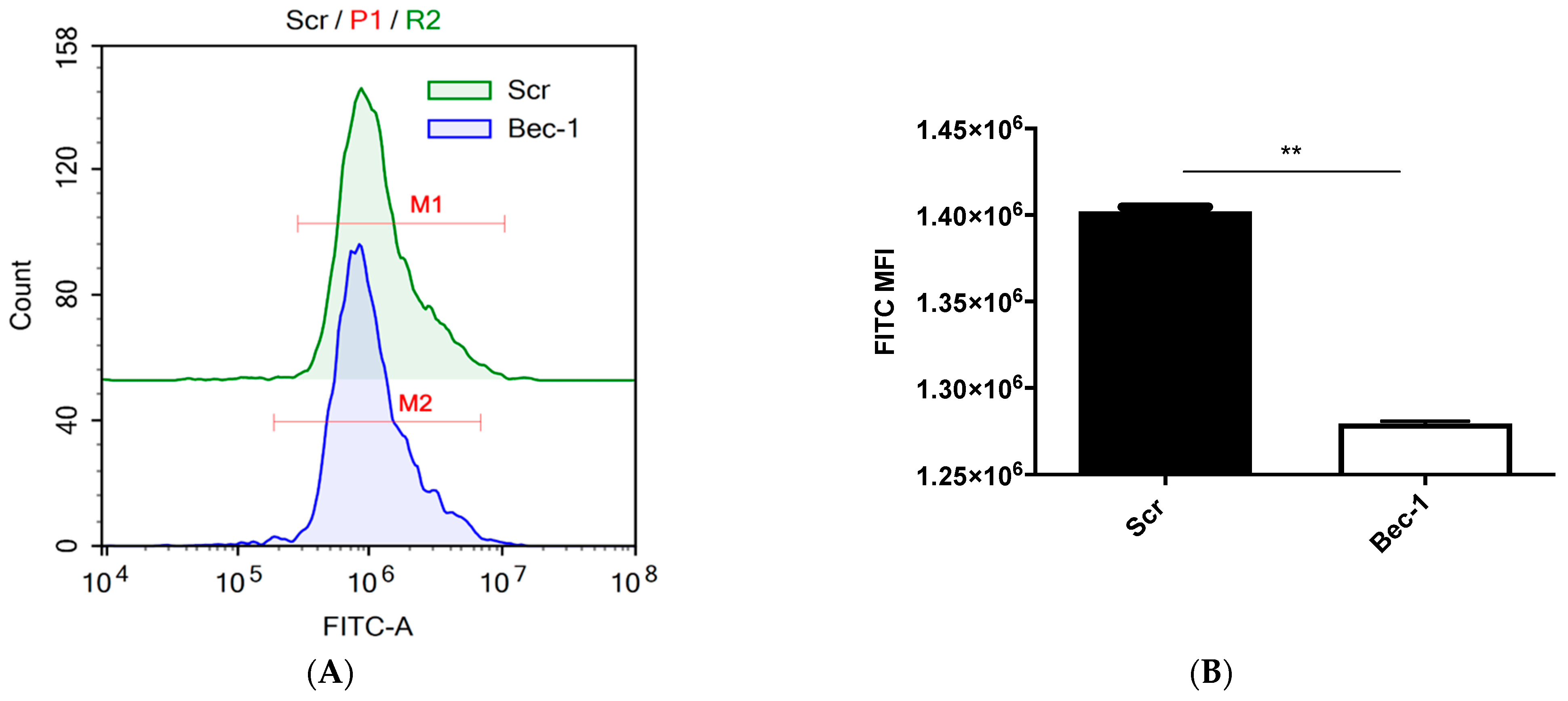 Tropicalmed 08 00434 g002
