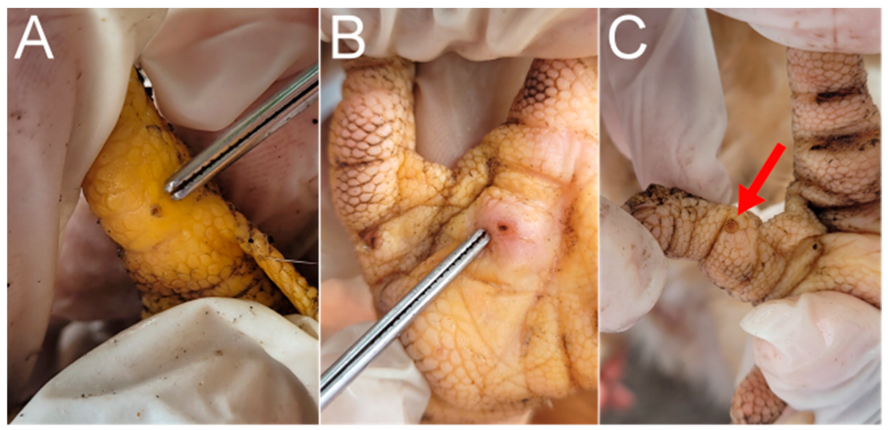 Tropicalmed 08 00456 g007