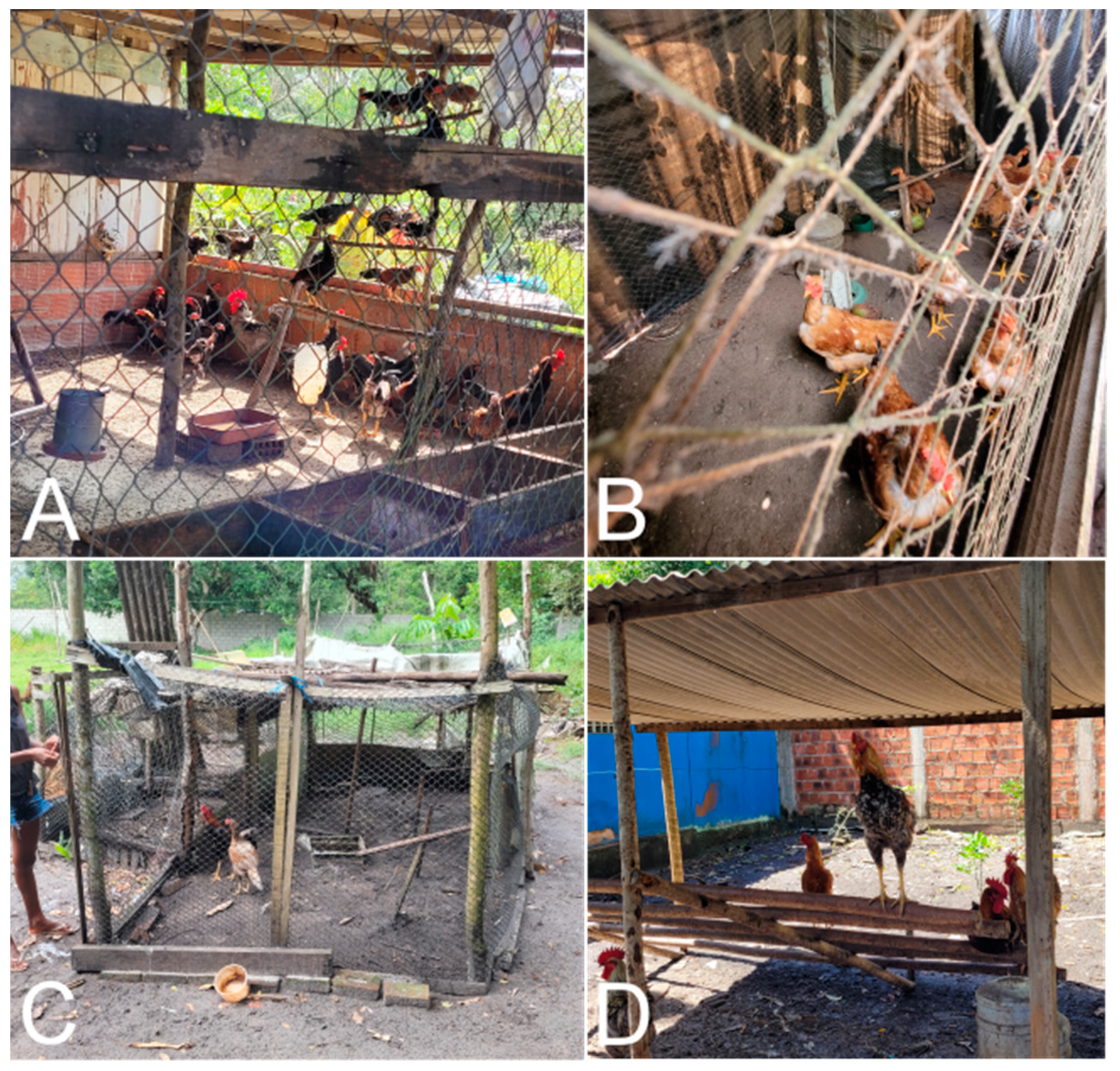 Tropicalmed 08 00456 g008