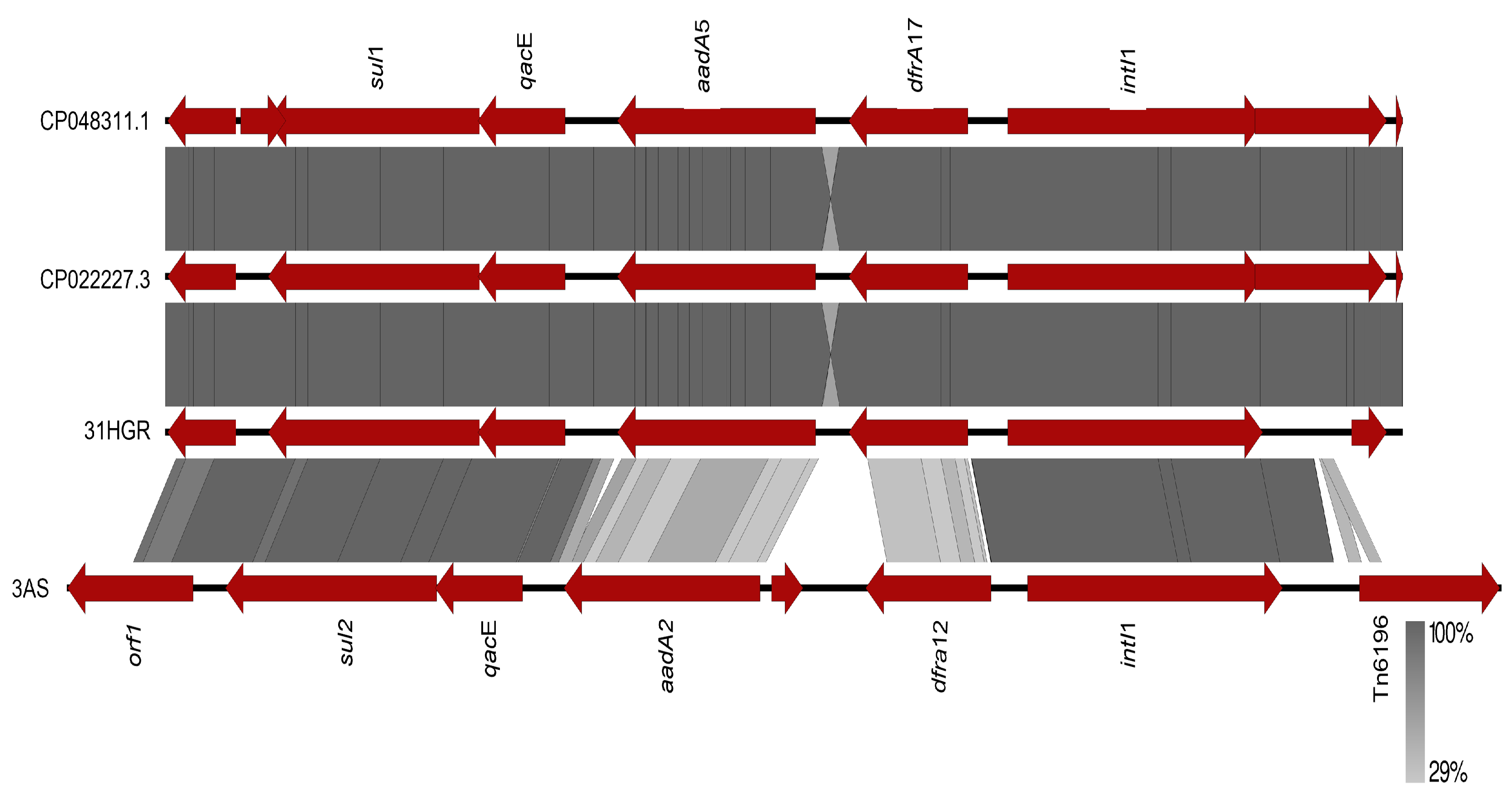 Tropicalmed 08 00458 g002