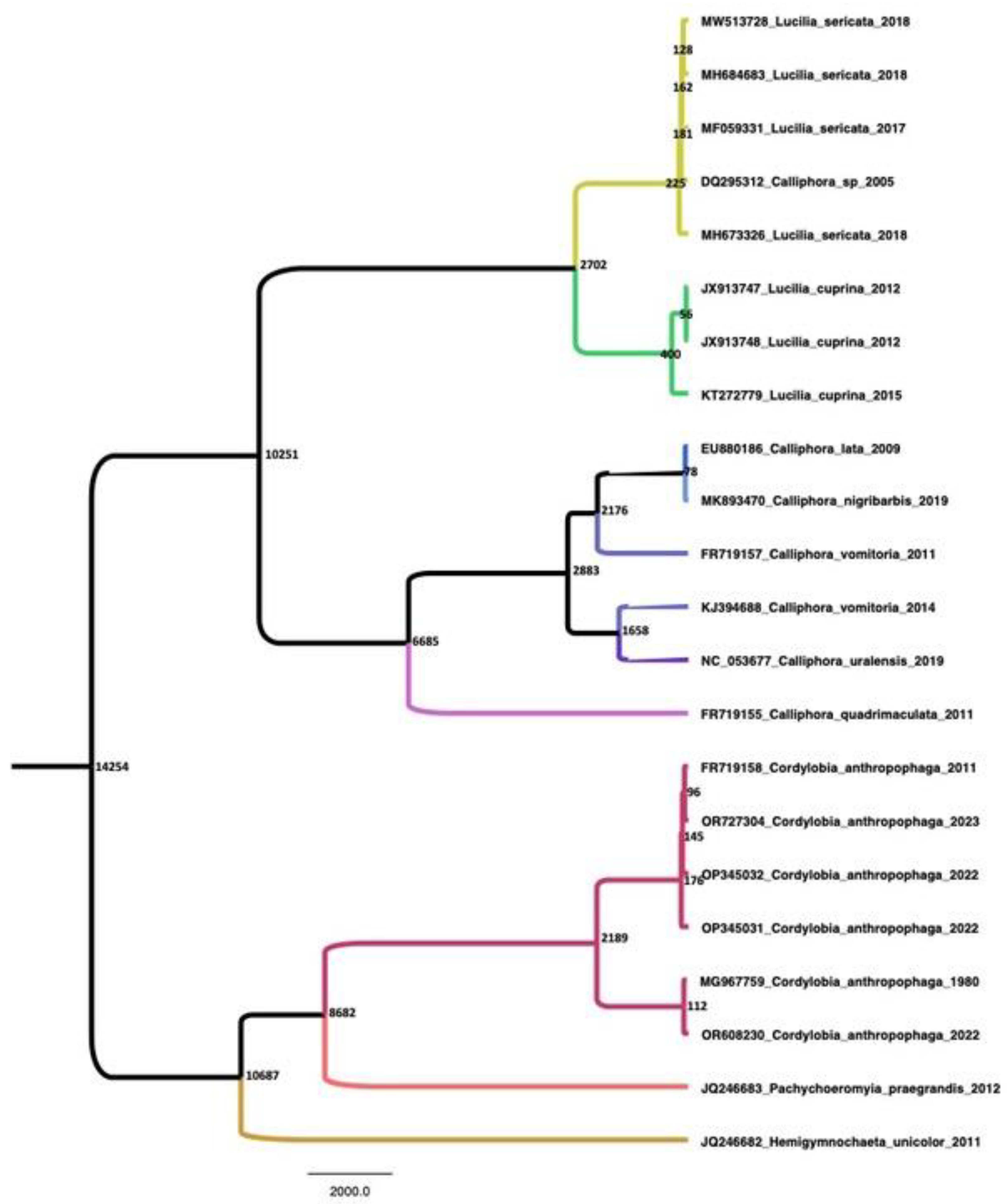 Tropicalmed 08 00505 g001 Tropicalmed 08 00505 g001