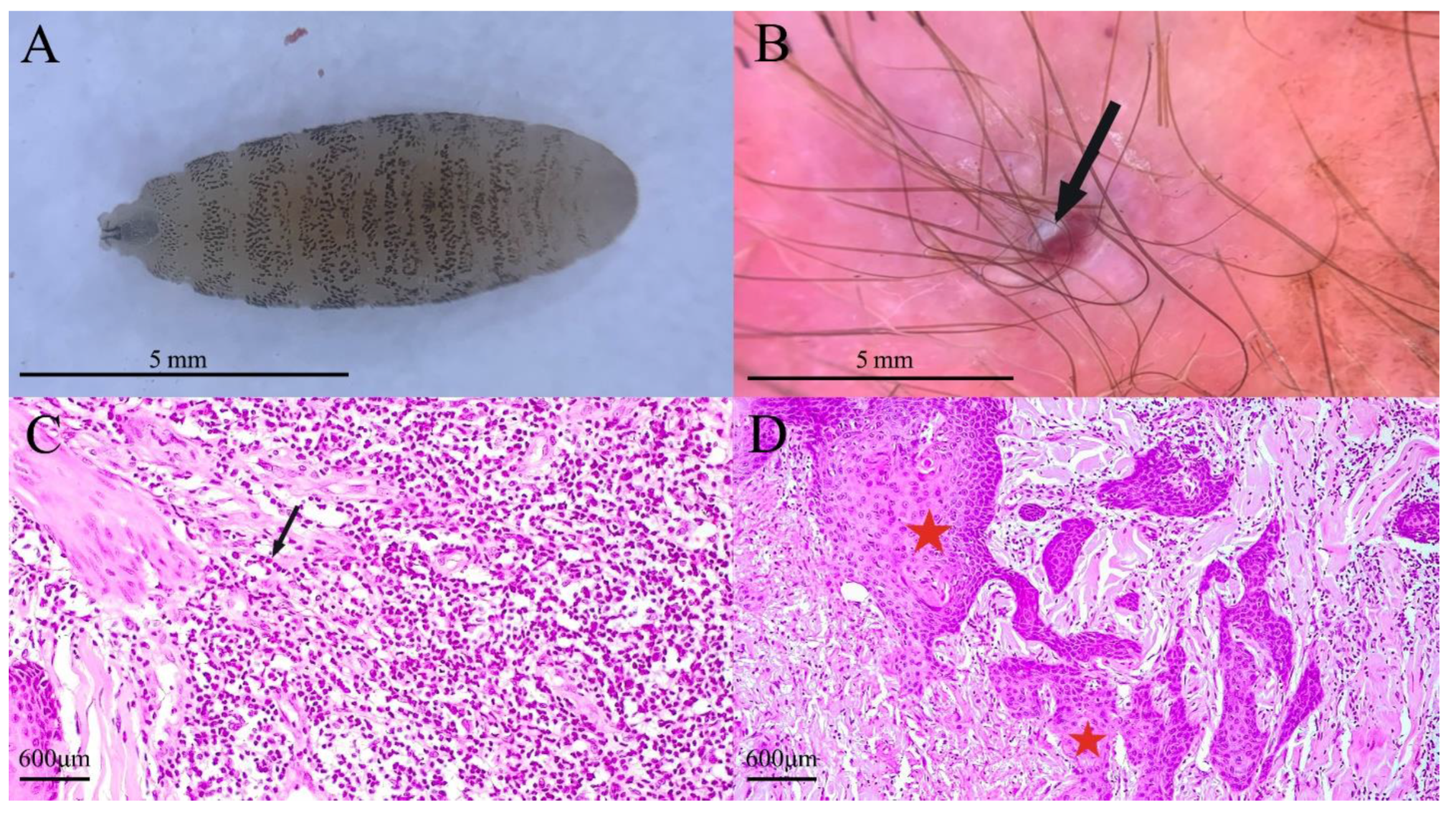 Tropicalmed 08 00505 g002 Tropicalmed 08 00505 g002