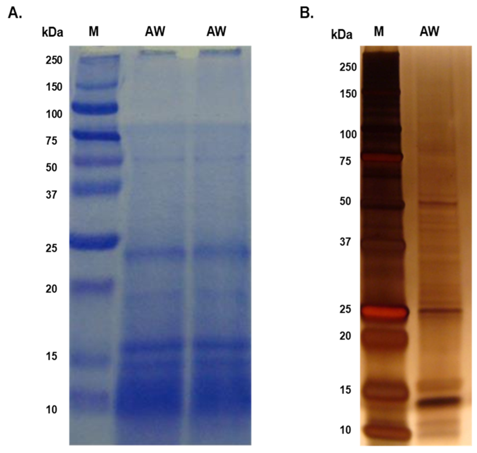 Tropicalmed 09 00006 g001 Tropicalmed 09 00006 g001