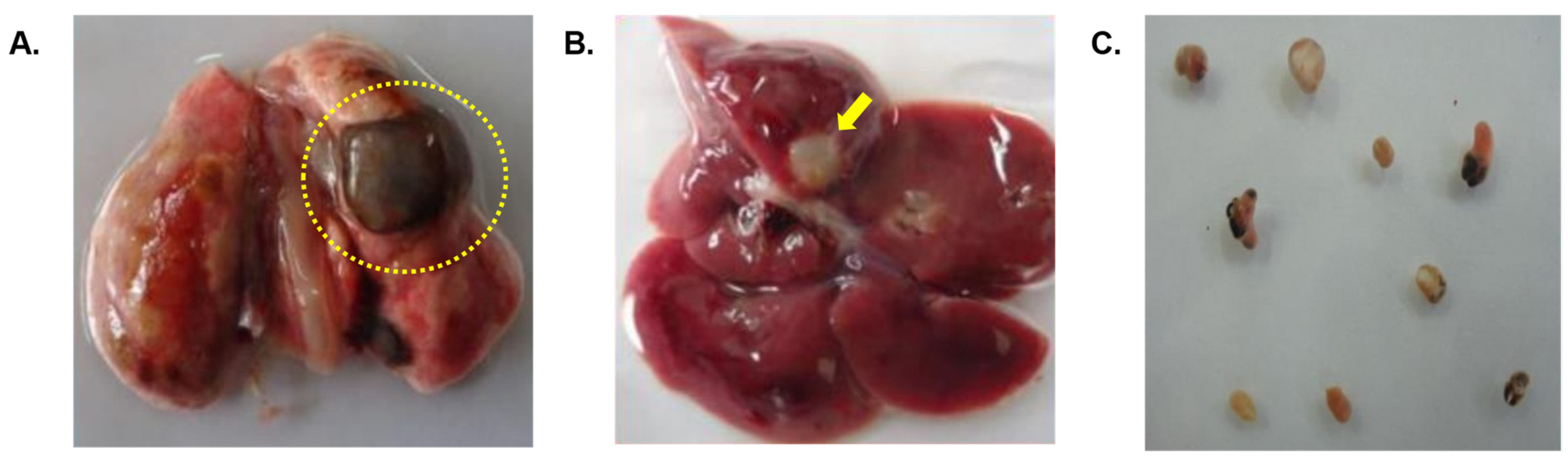 Tropicalmed 09 00006 g003 Tropicalmed 09 00006 g003