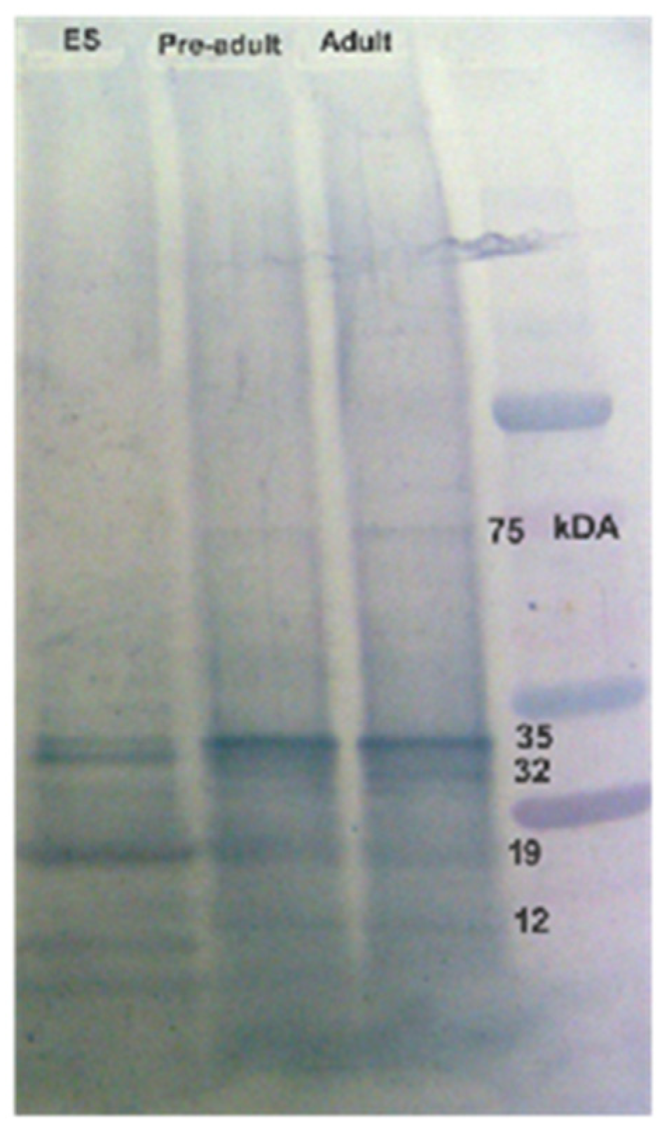 Tropicalmed 09 00006 g005 Tropicalmed 09 00006 g005