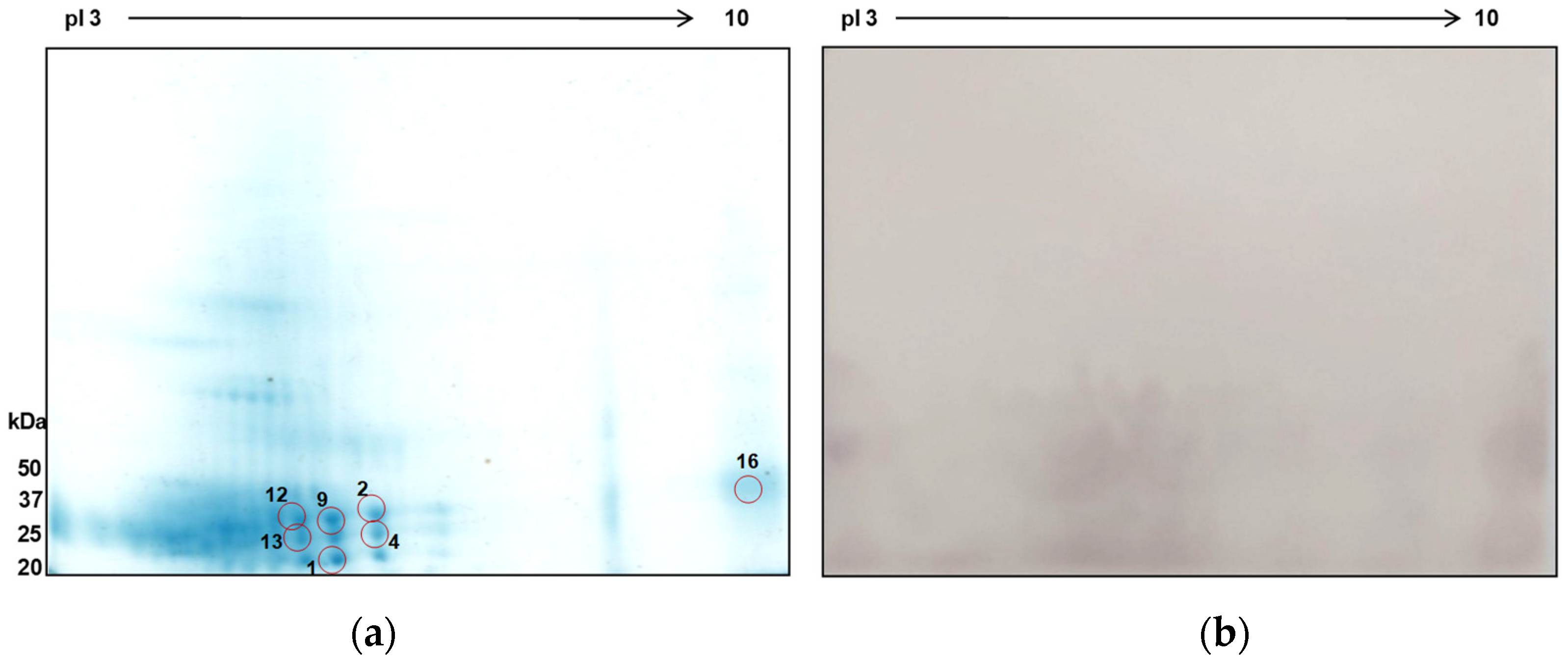 Tropicalmed 09 00006 g007 Tropicalmed 09 00006 g007