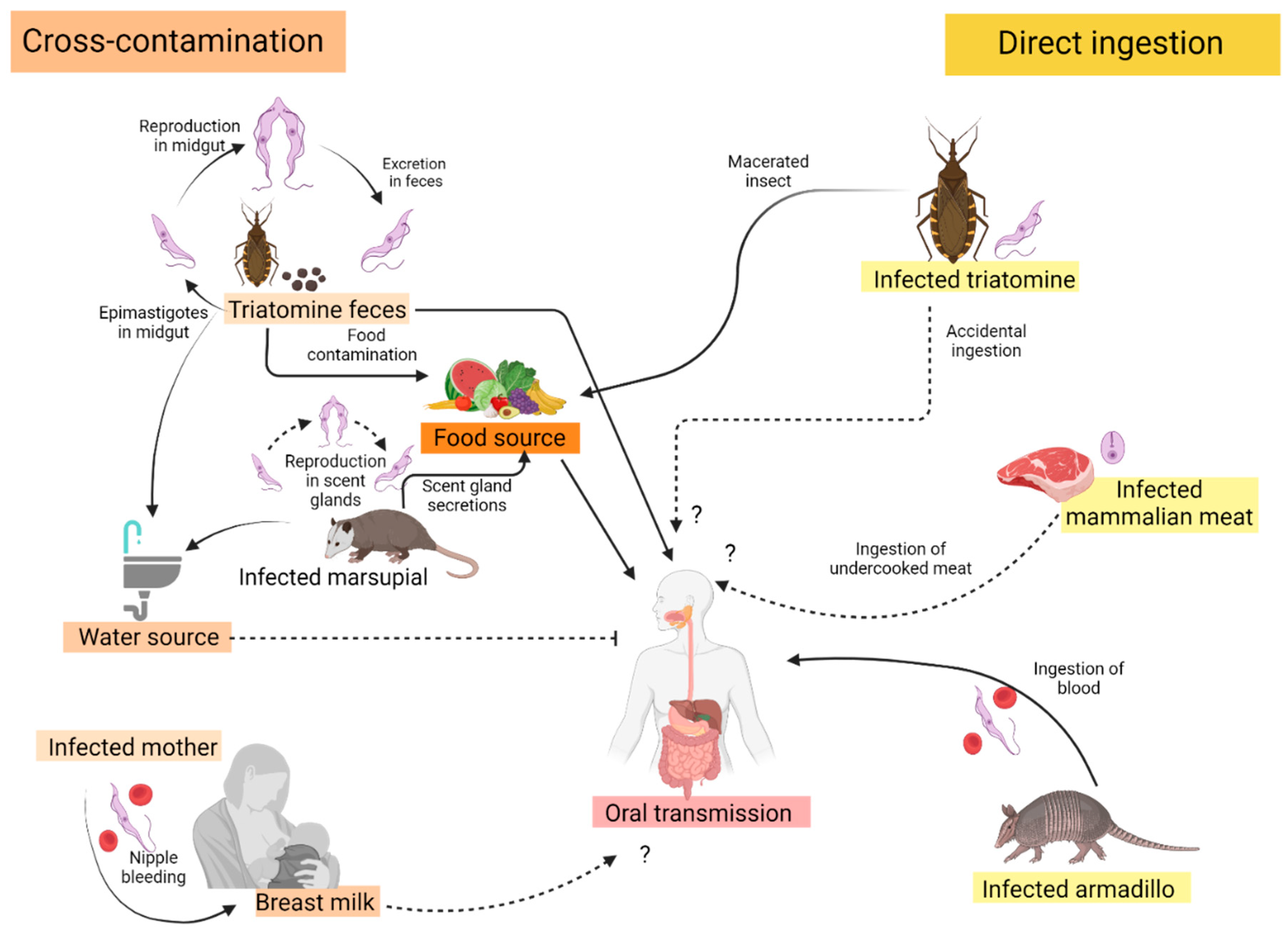 Tropicalmed 09 00014 g001 Tropicalmed 09 00014 g001