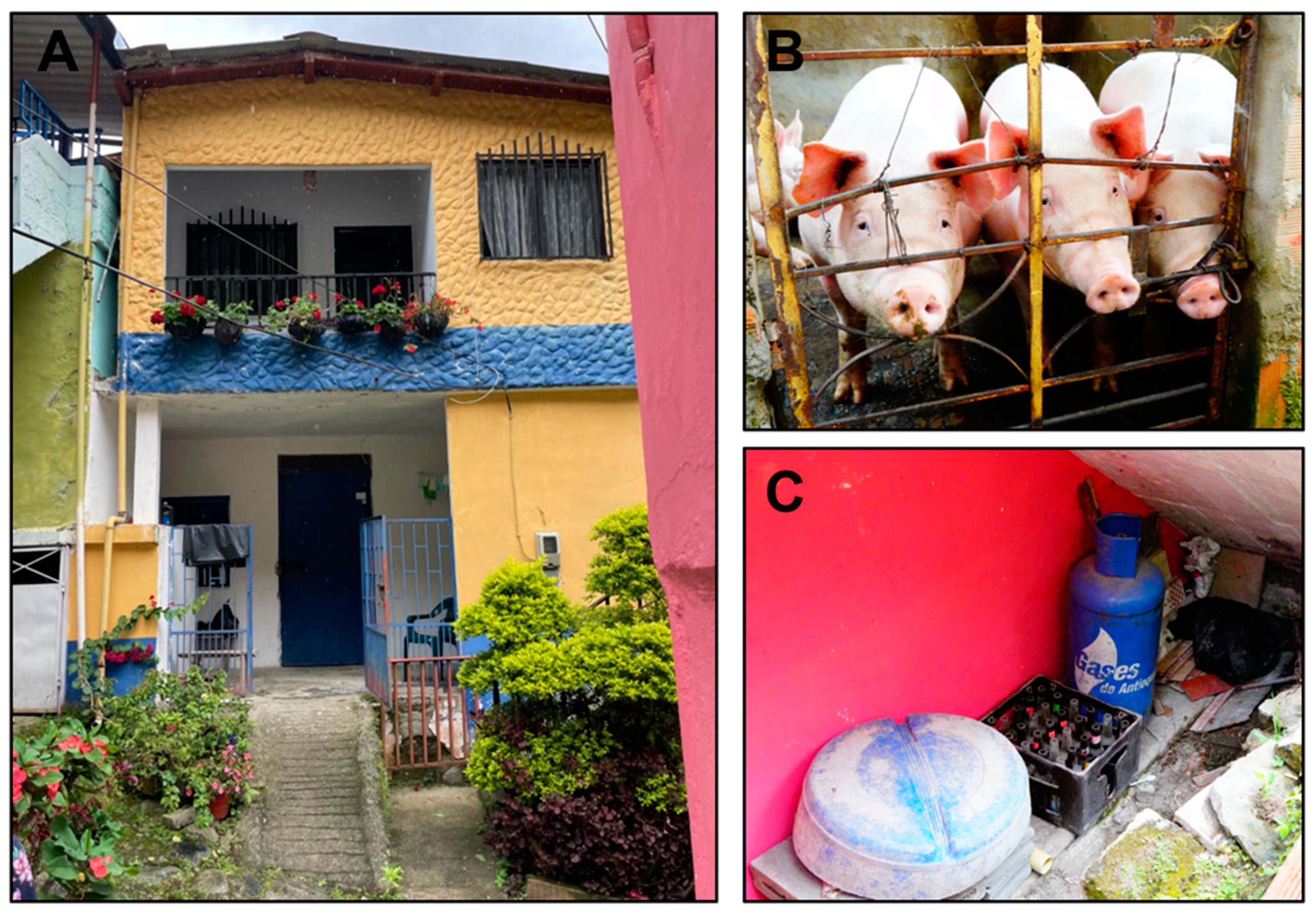 Tropicalmed 09 00014 g004 Tropicalmed 09 00014 g004