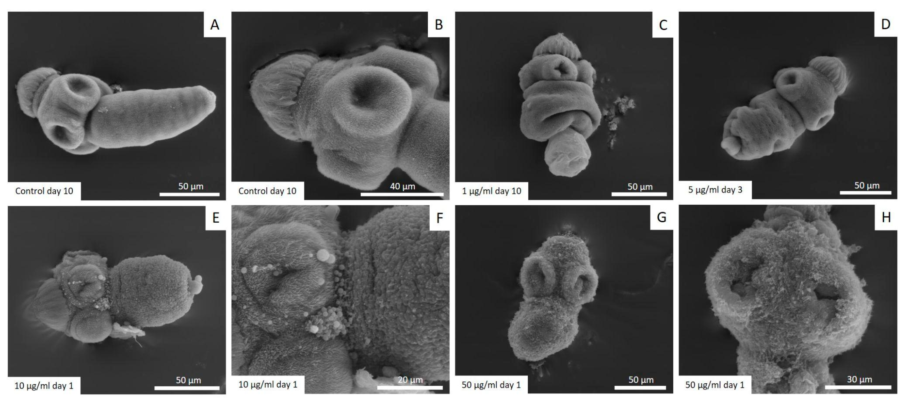Tropicalmed 09 00035 g003