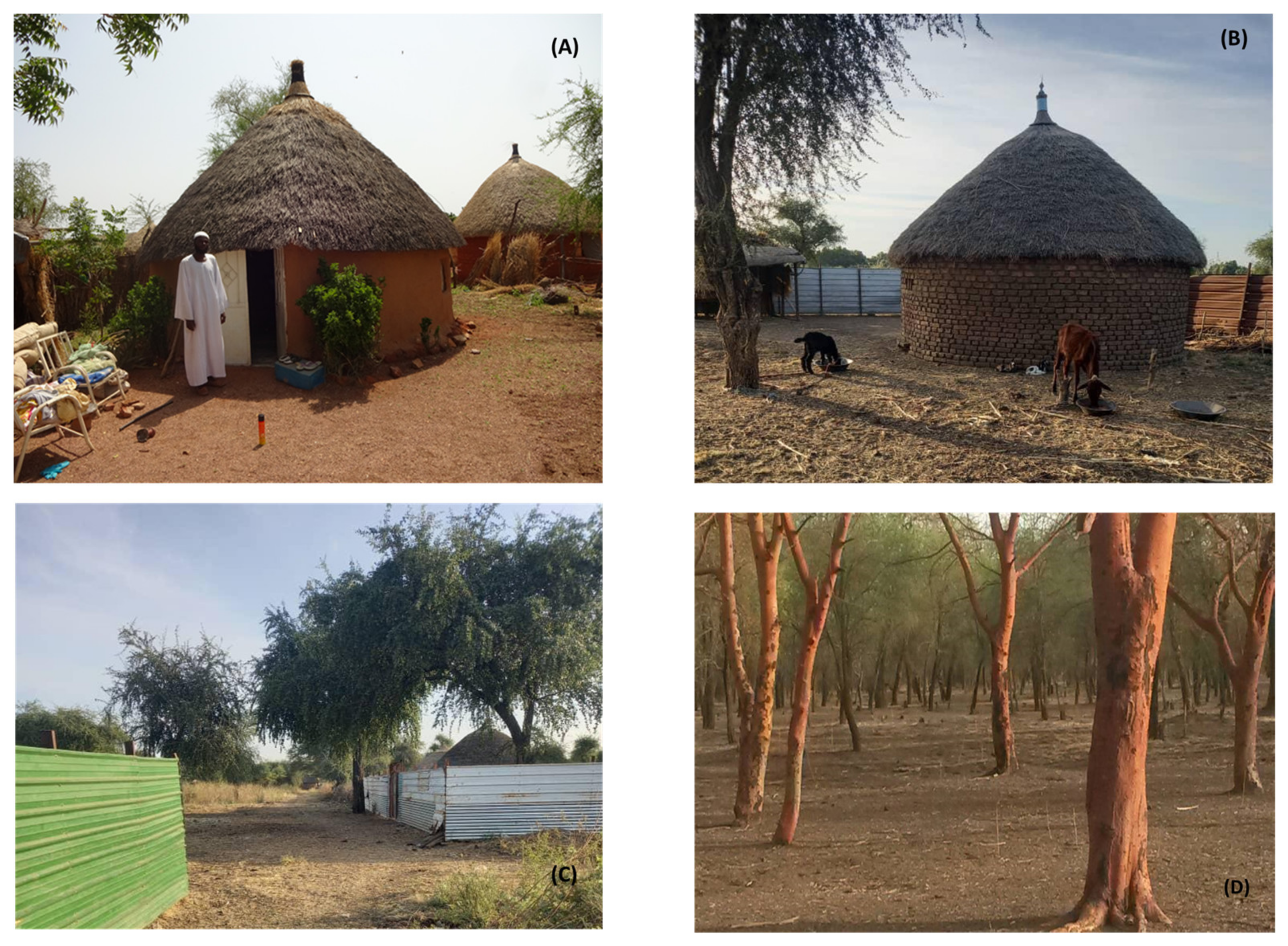 Tropicalmed 09 00040 g002 Tropicalmed 09 00040 g002