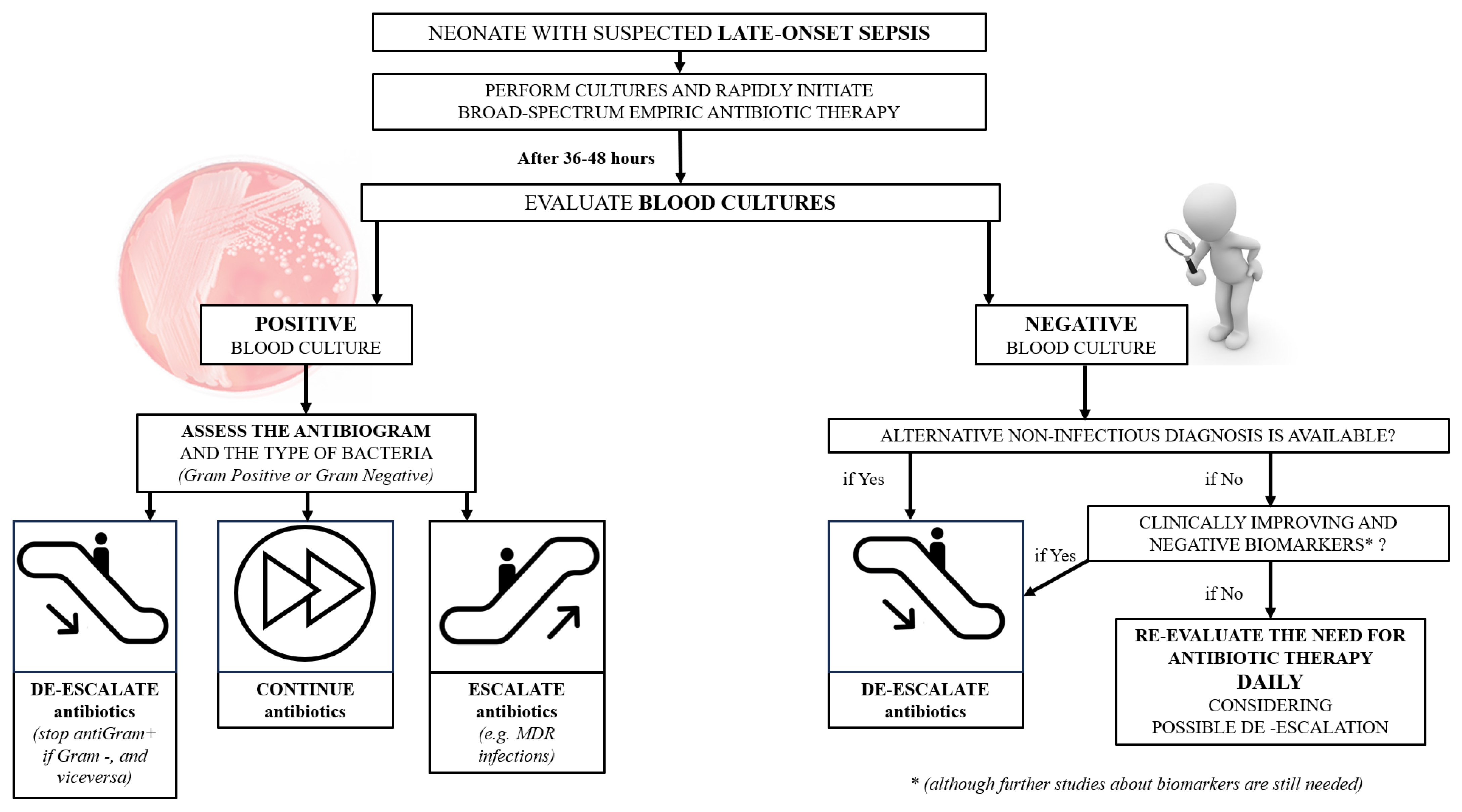 Tropicalmed 09 00063 g001