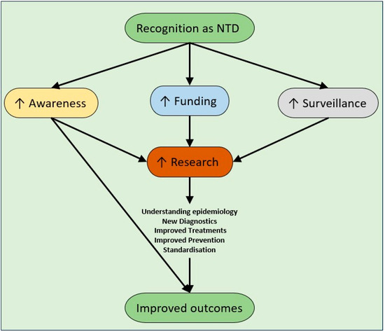 The Rapid Emergence of Hypervirulent Klebsiella Species and