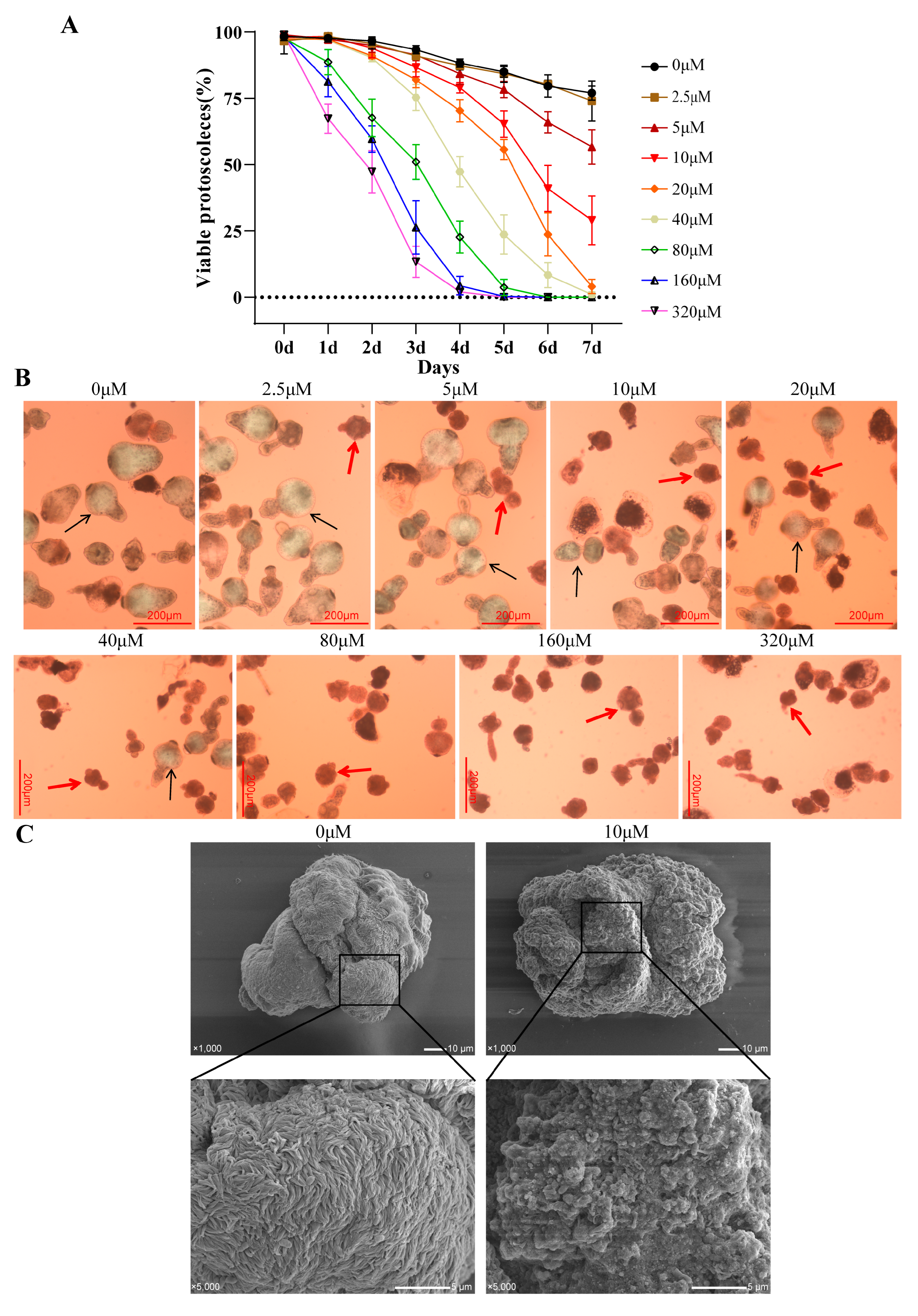 Tropicalmed 09 00110 g001