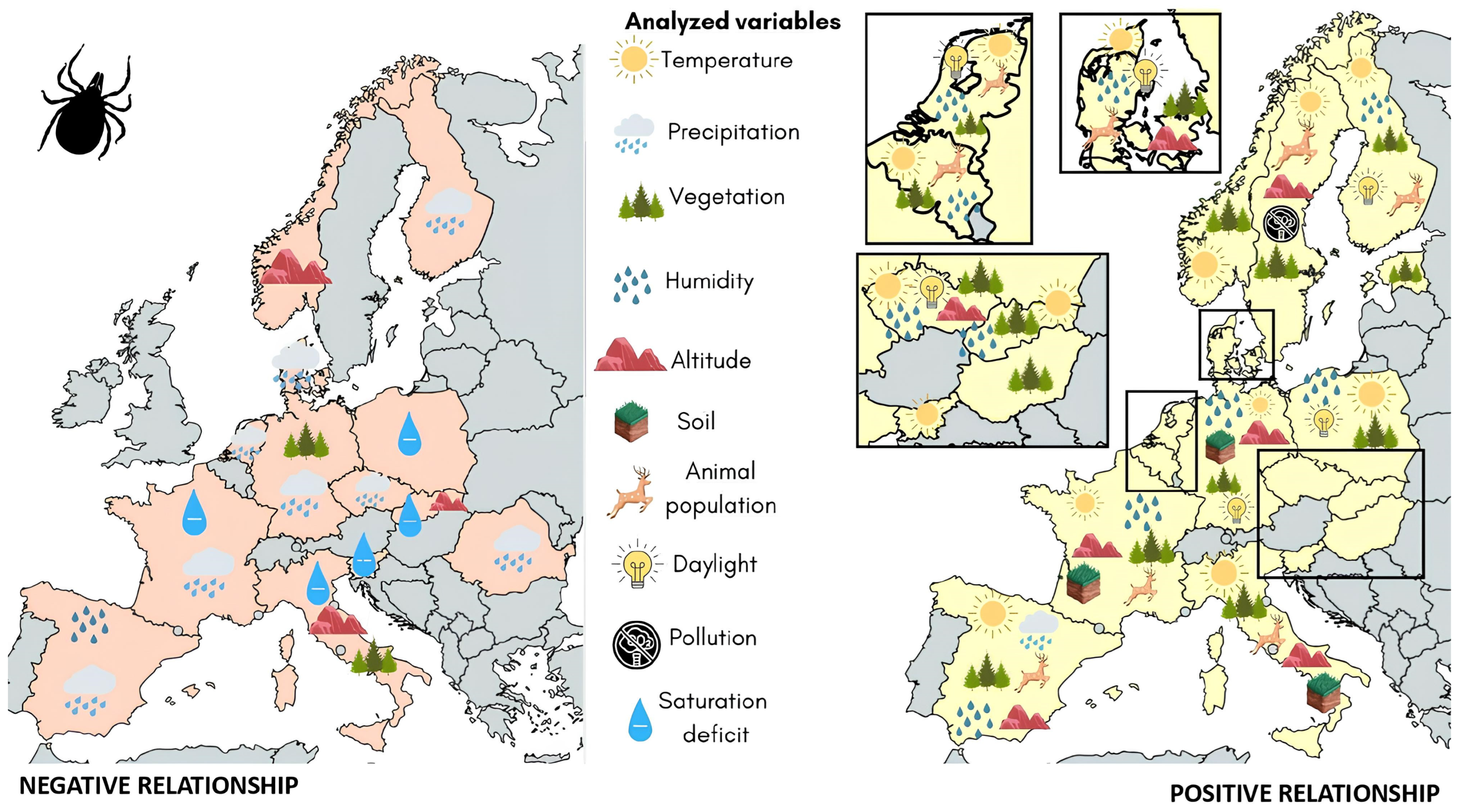 Tropicalmed 09 00113 g003