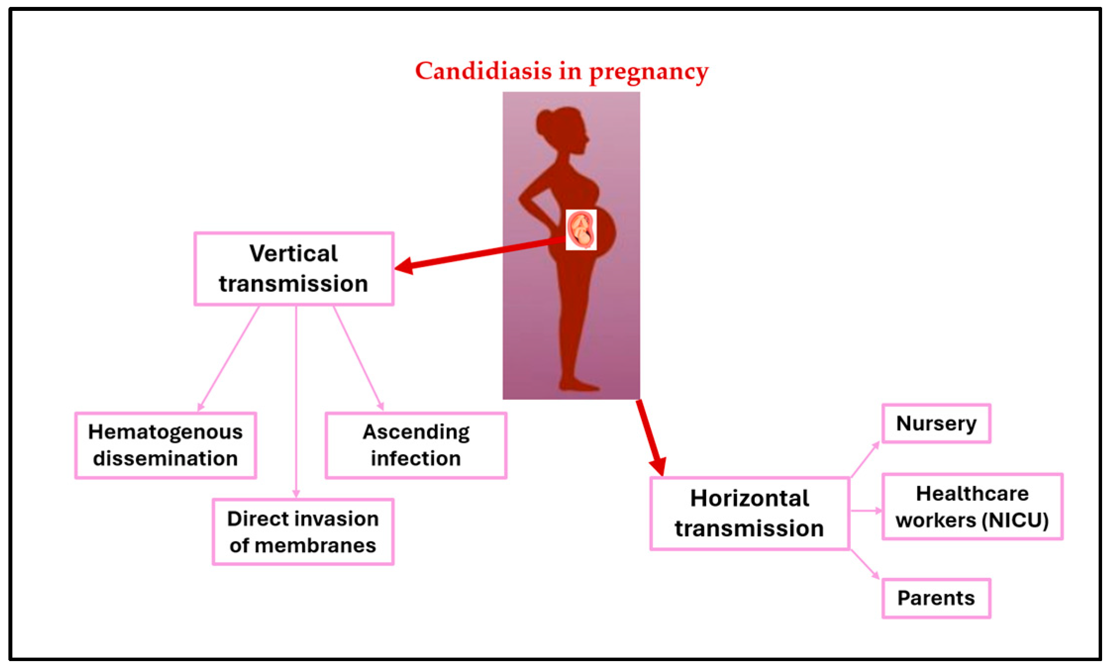 Tropicalmed 09 00114 g001