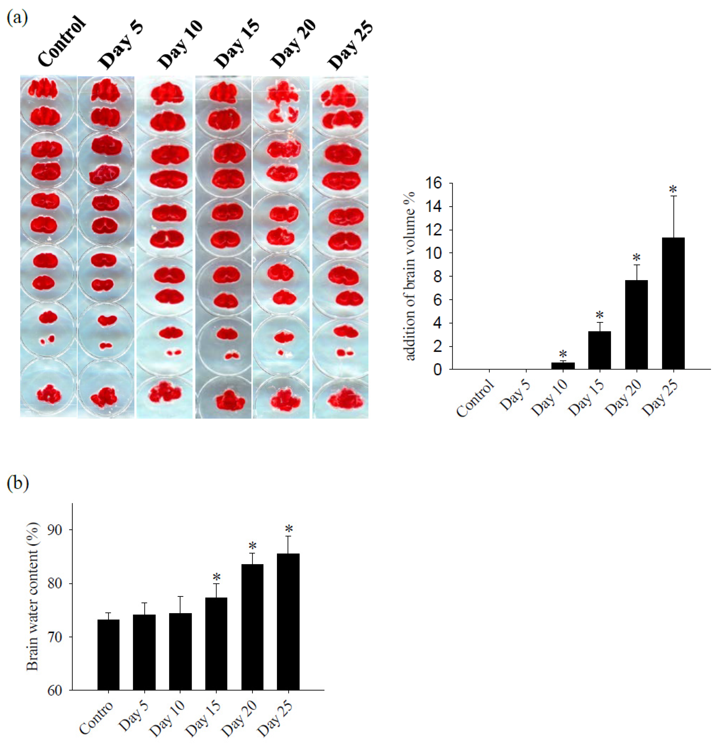 Tropicalmed 09 00124 g002