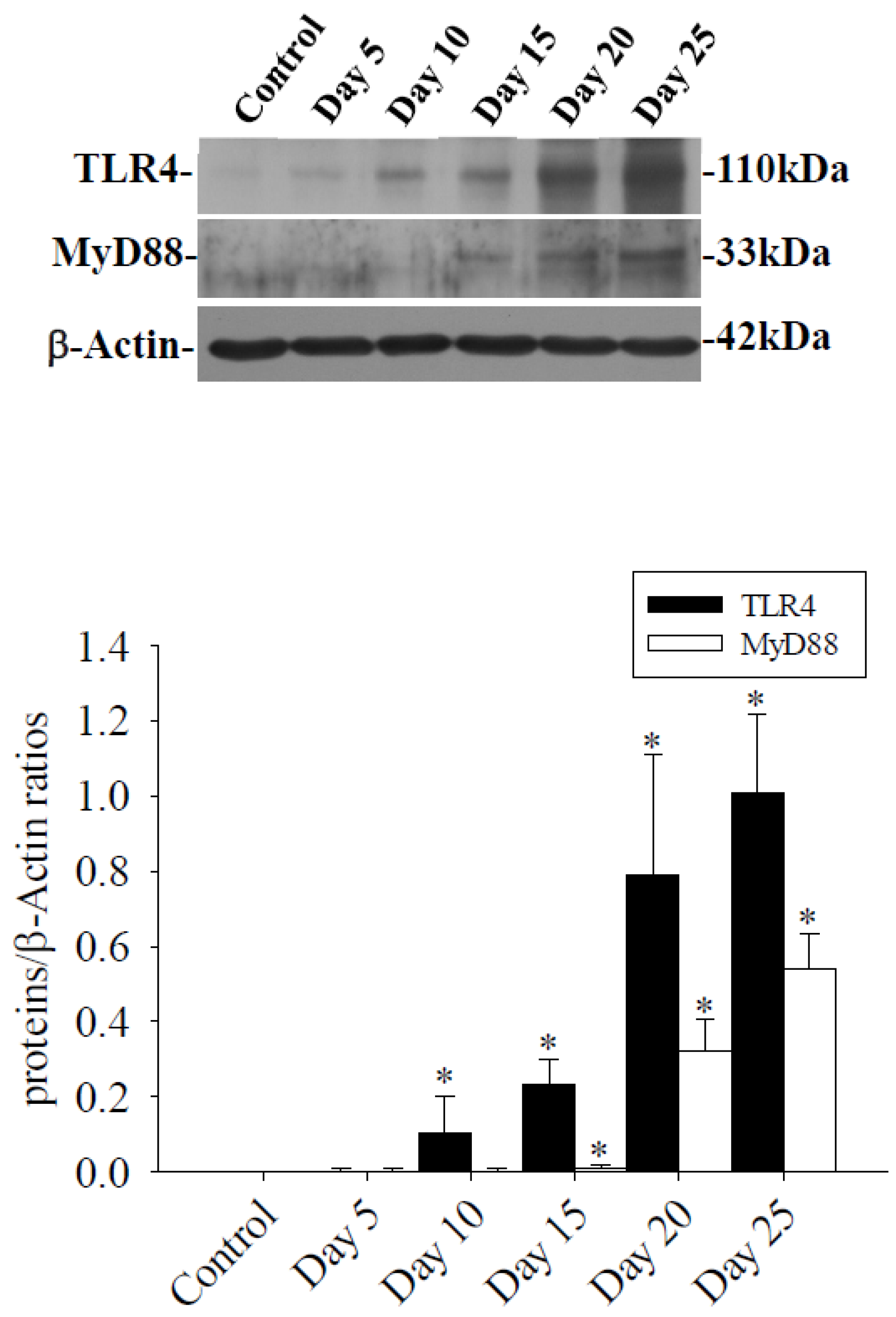 Tropicalmed 09 00124 g006