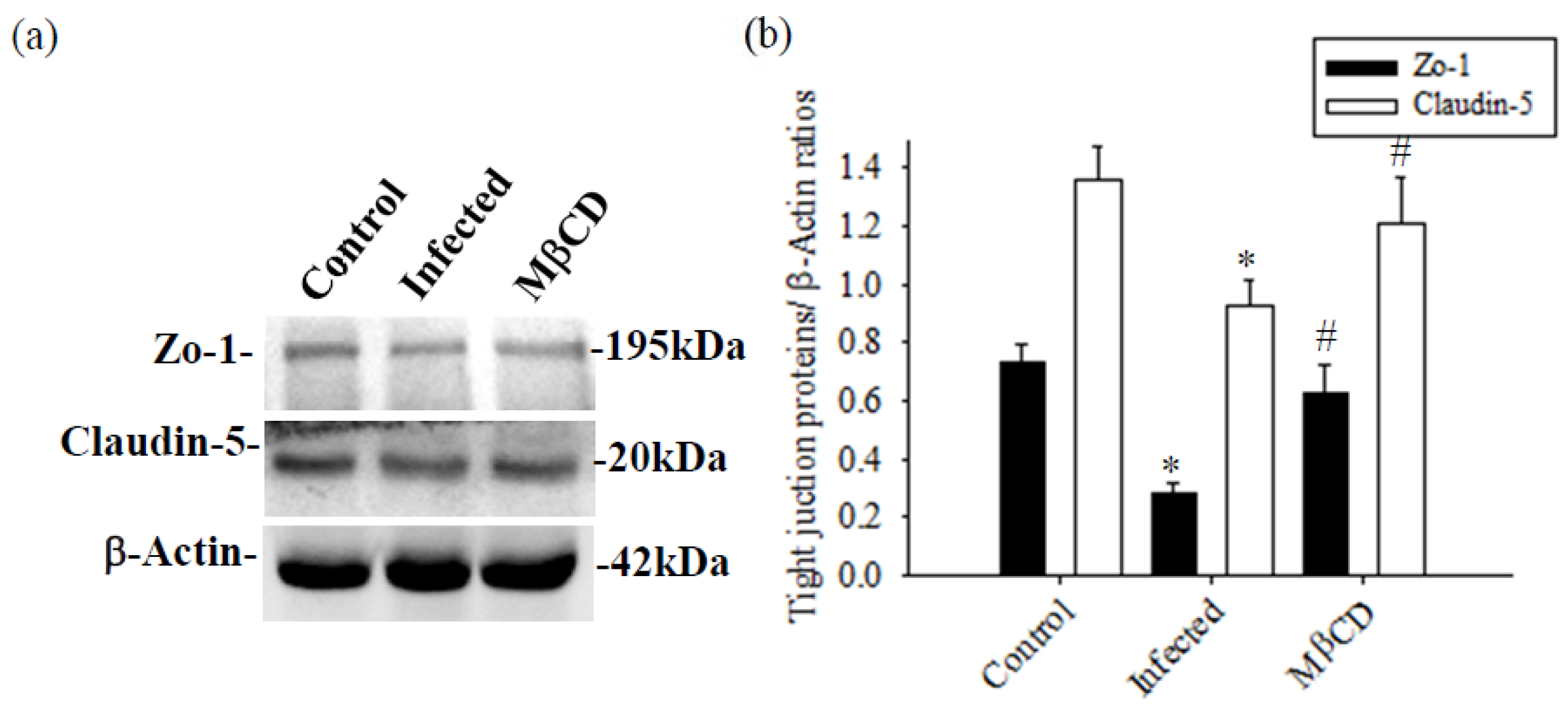 Tropicalmed 09 00124 g008