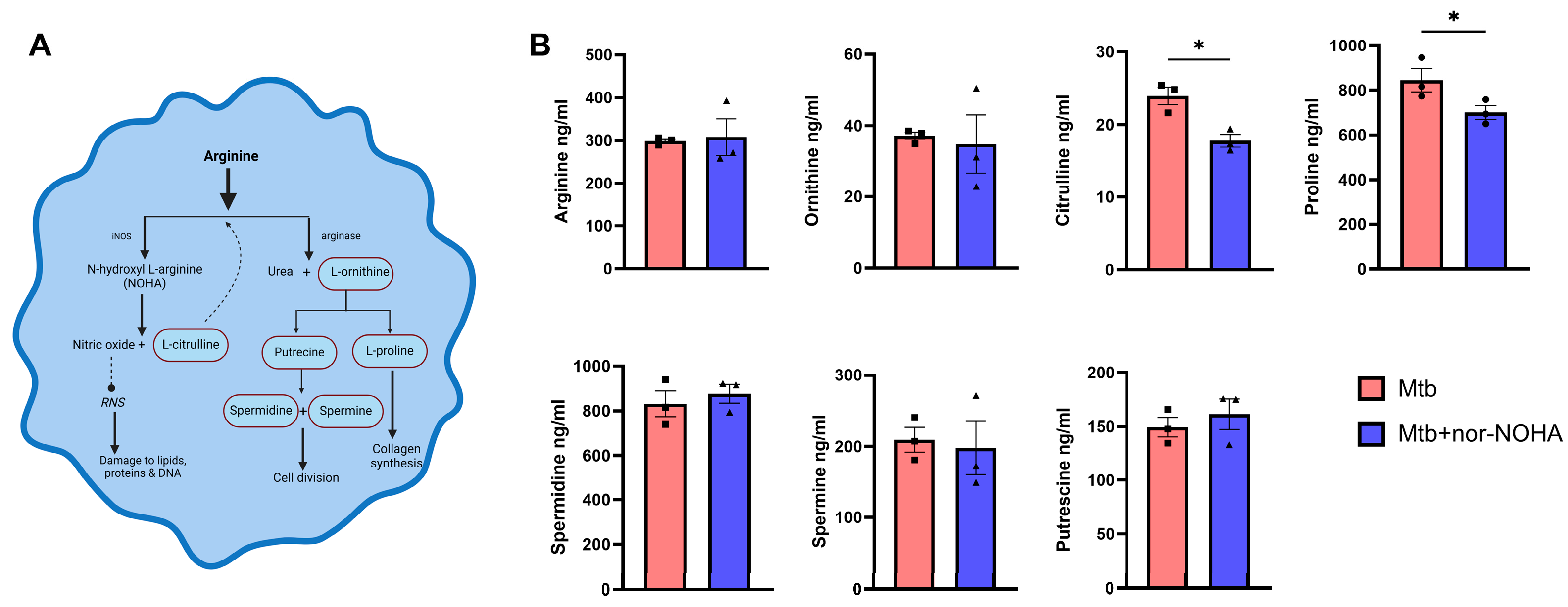 Tropicalmed 09 00129 g002 Tropicalmed 09 00129 g002