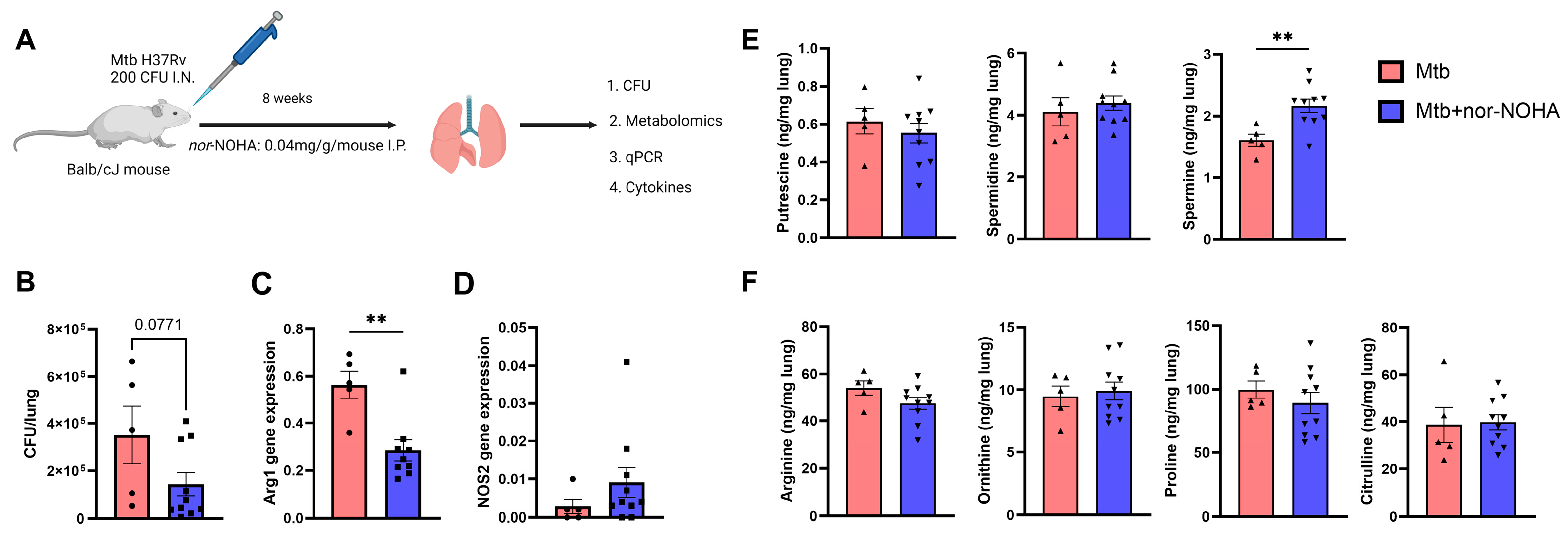 Tropicalmed 09 00129 g003 Tropicalmed 09 00129 g003