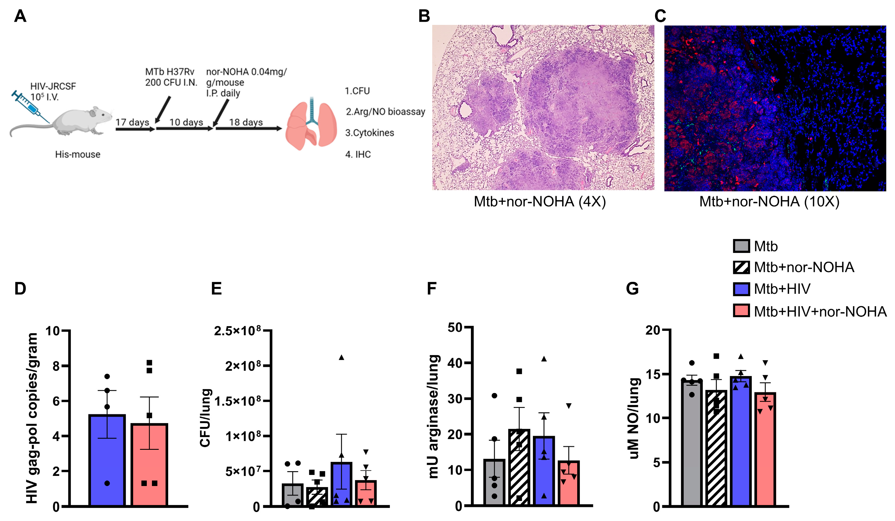 Tropicalmed 09 00129 g006 Tropicalmed 09 00129 g006