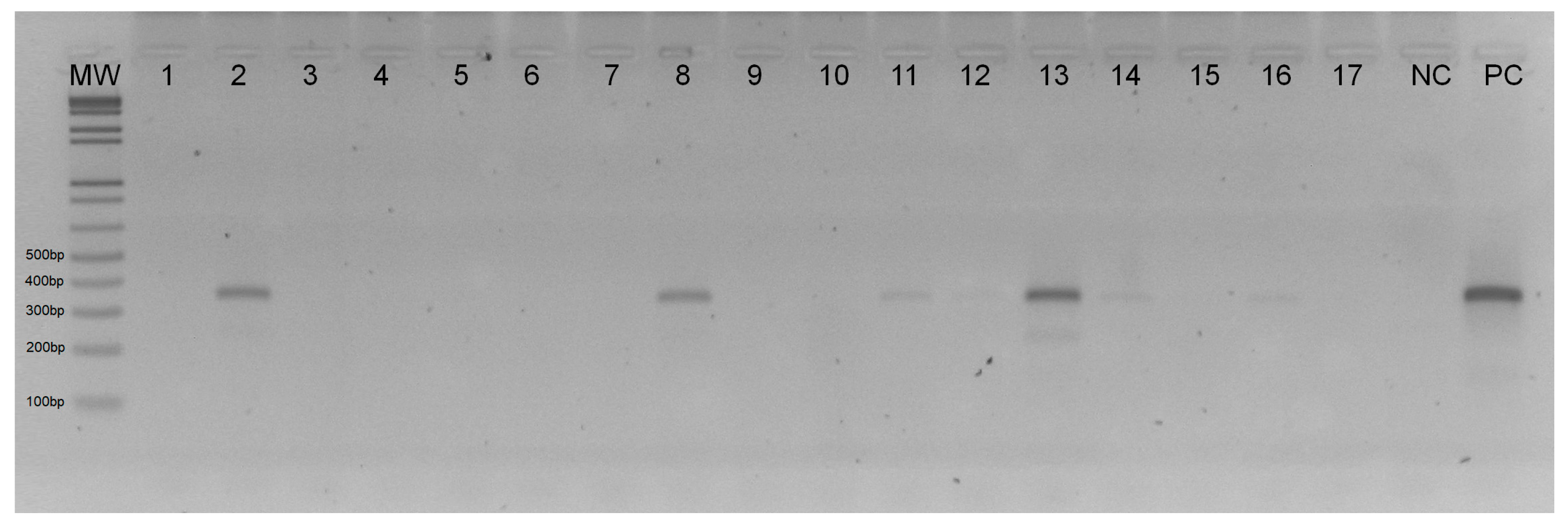 Tropicalmed 09 00133 g002