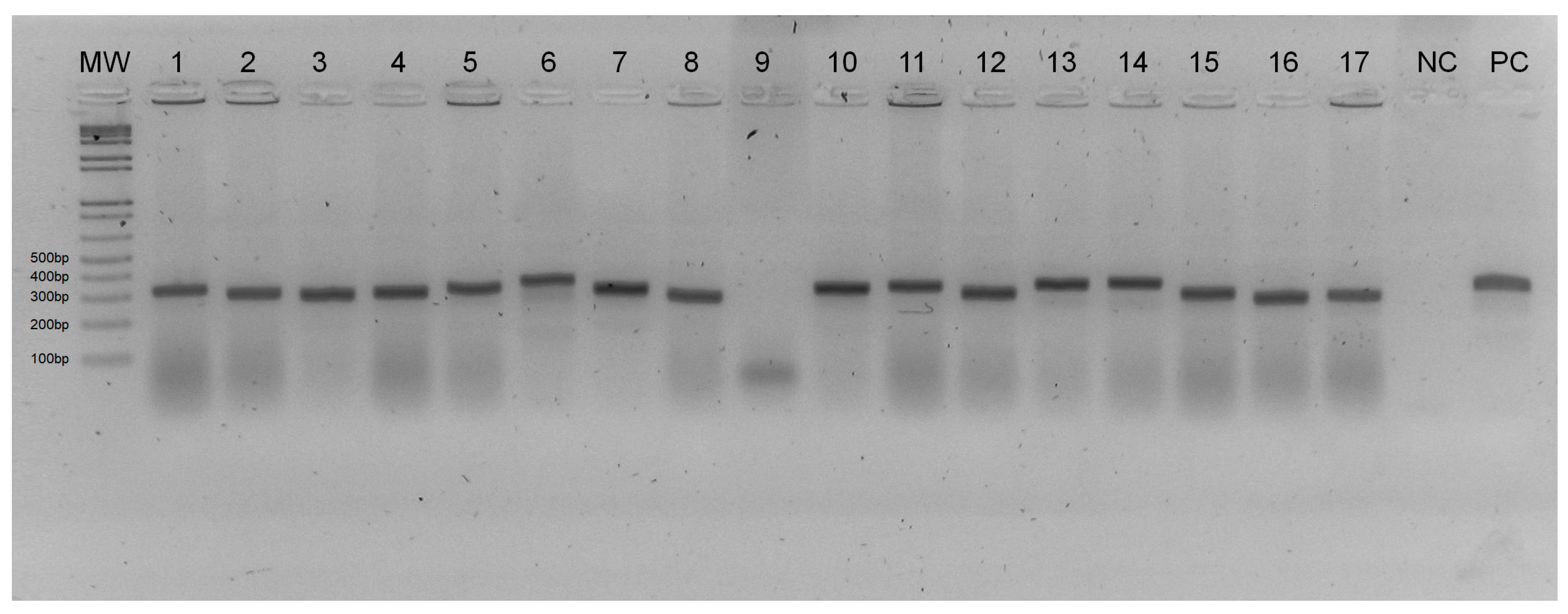 Tropicalmed 09 00133 g003