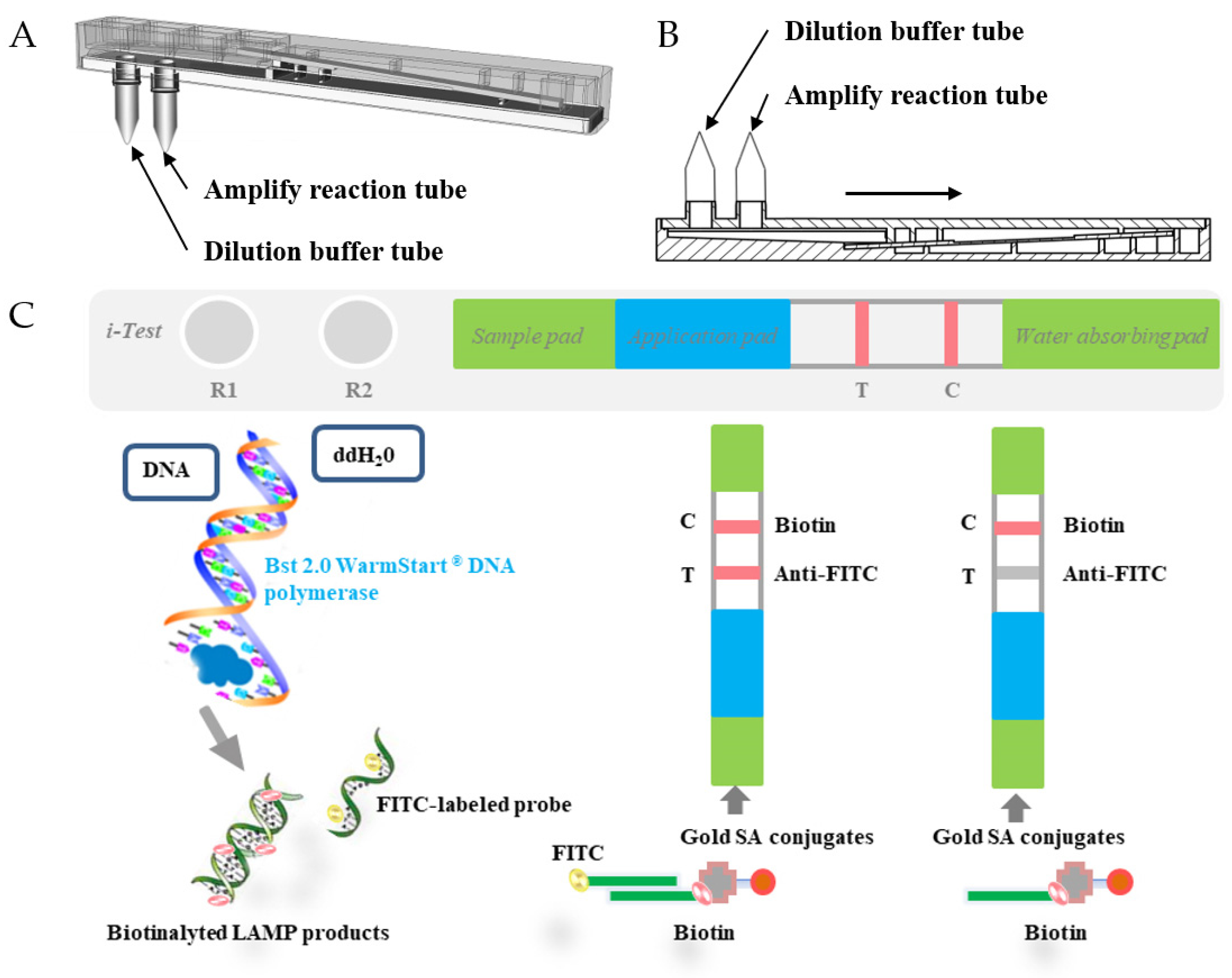 Tropicalmed 09 00136 g002 Tropicalmed 09 00136 g002