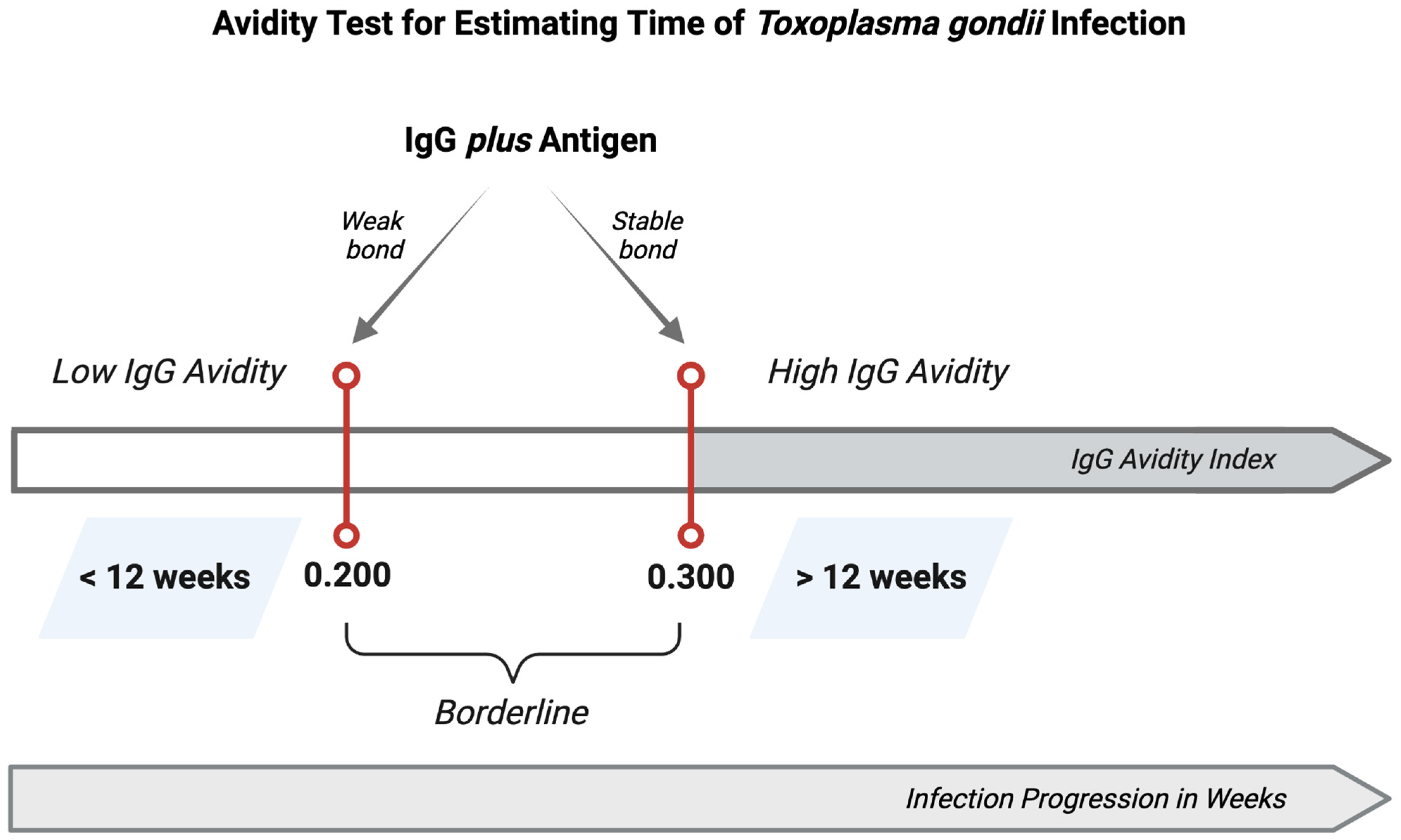 Tropicalmed 09 00137 g004 Tropicalmed 09 00137 g004