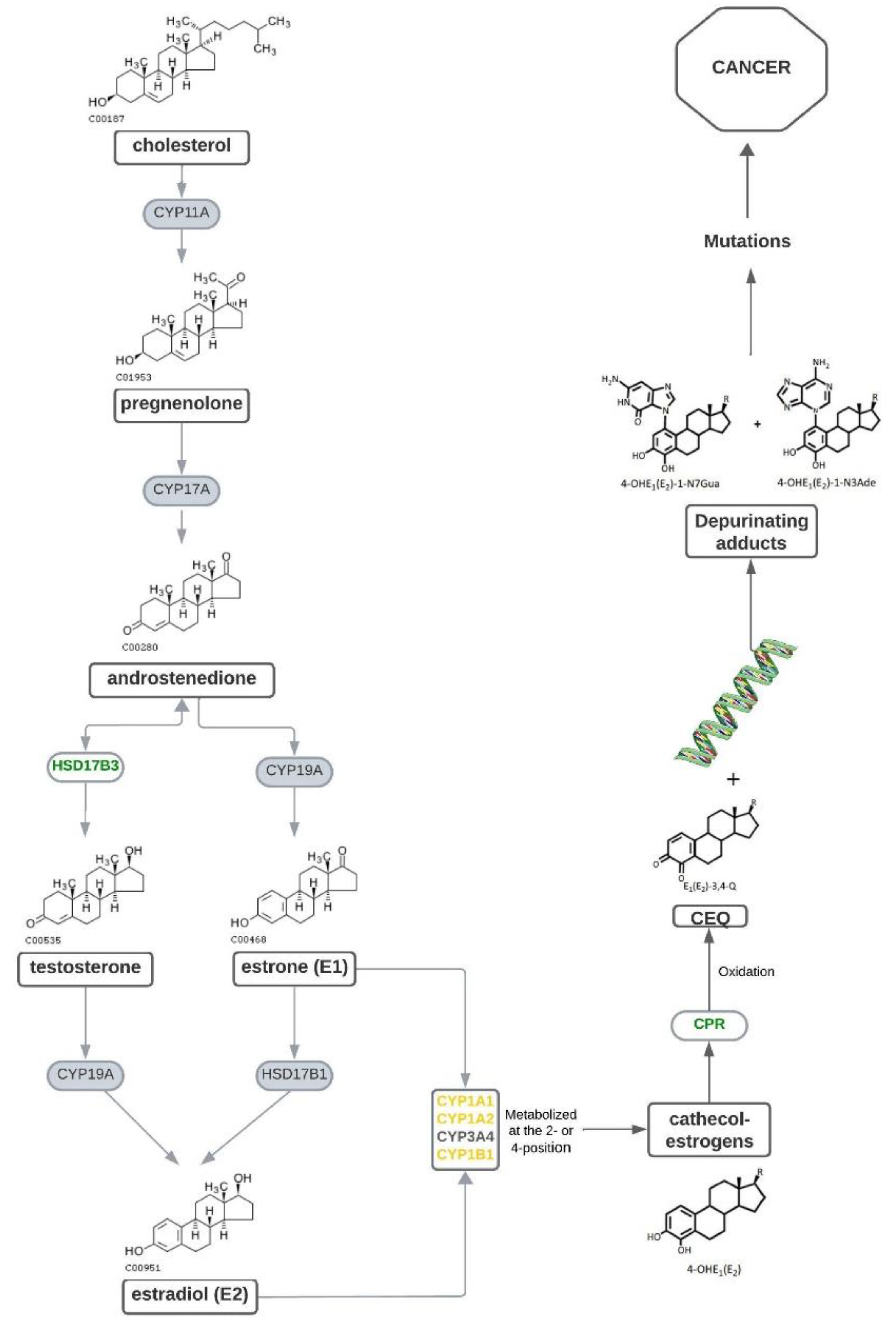 Tropicalmed 09 00177 g002 Tropicalmed 09 00177 g002
