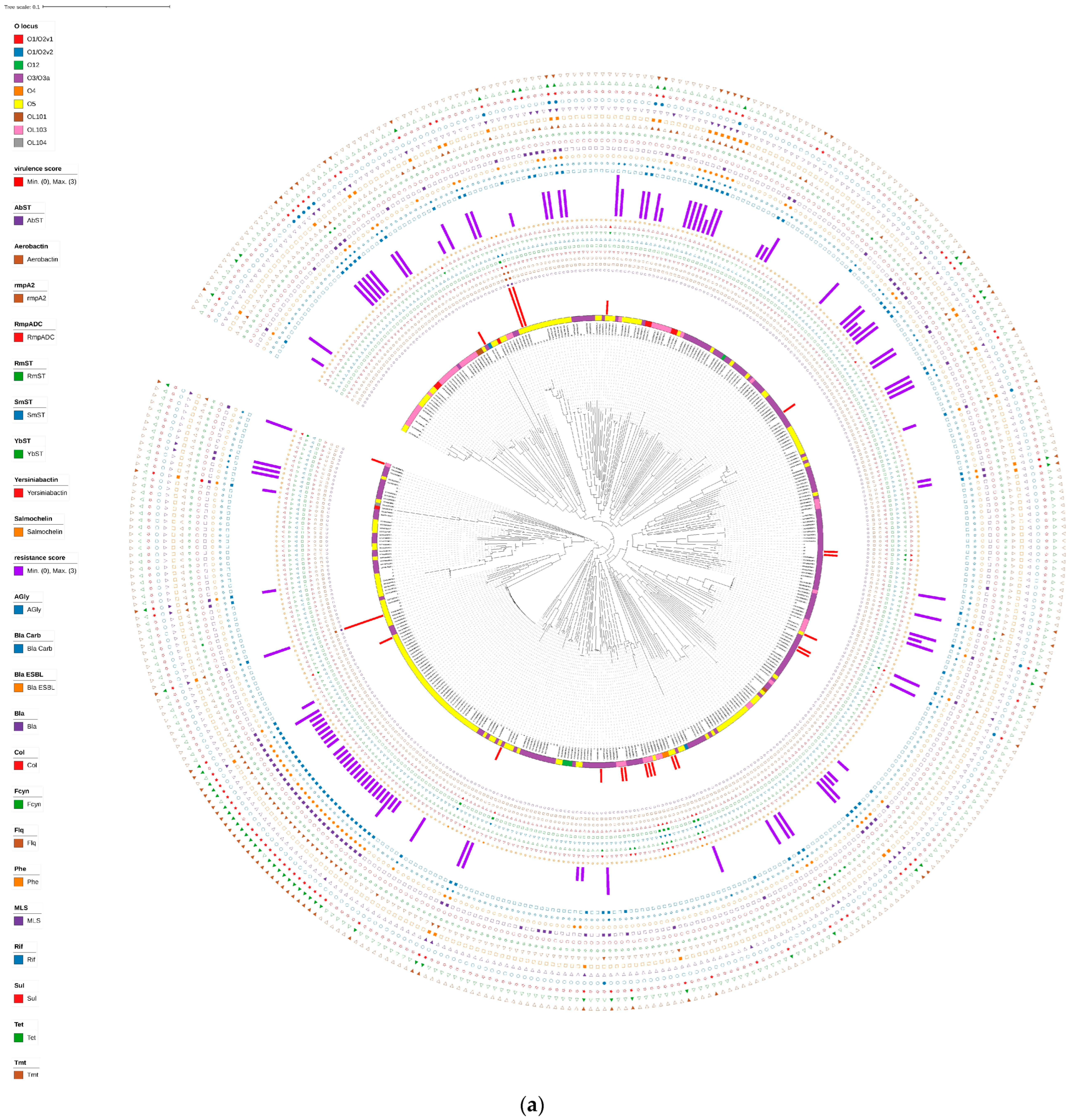 Tropicalmed 09 00180 g002a