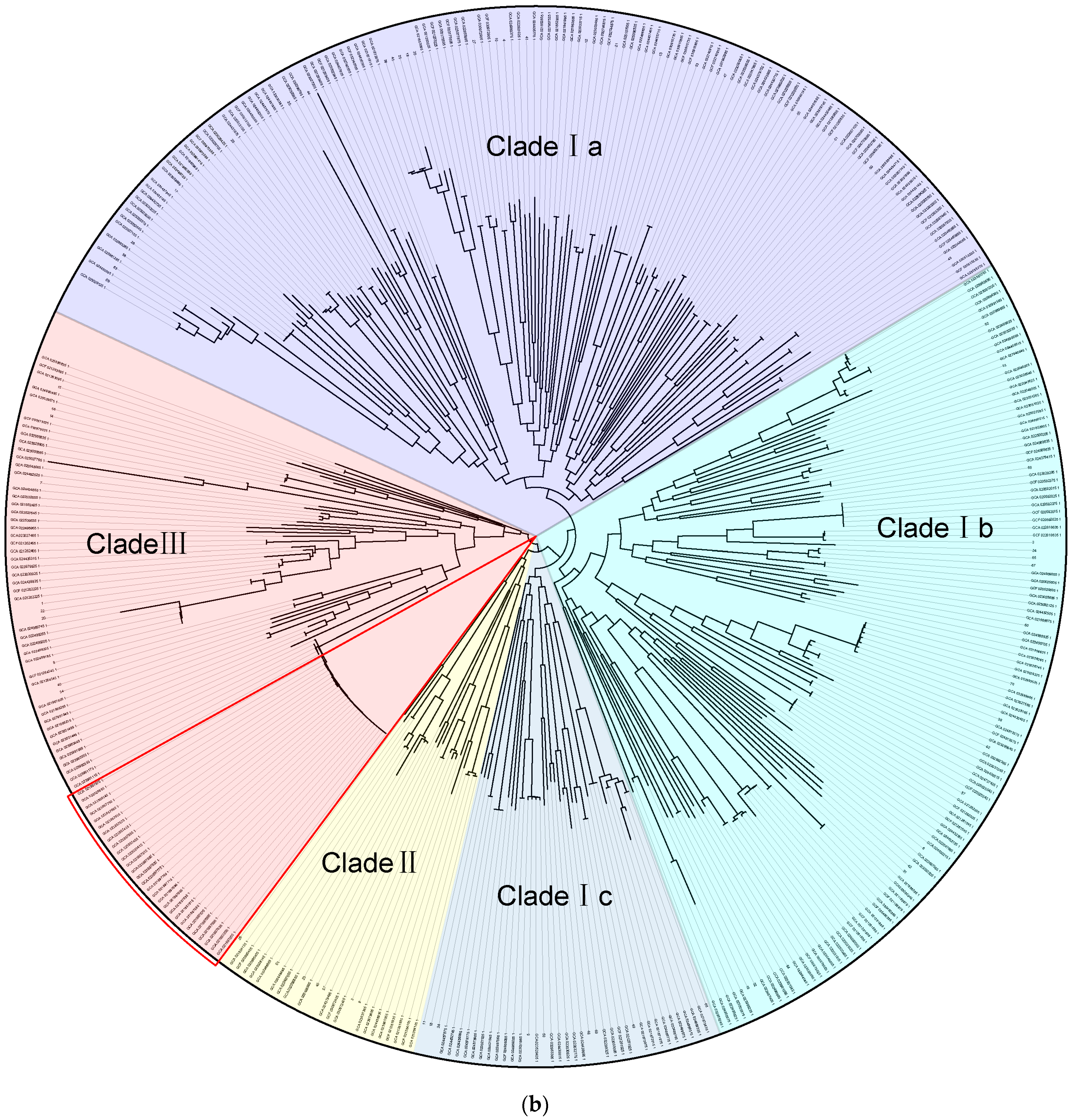 Tropicalmed 09 00180 g002b