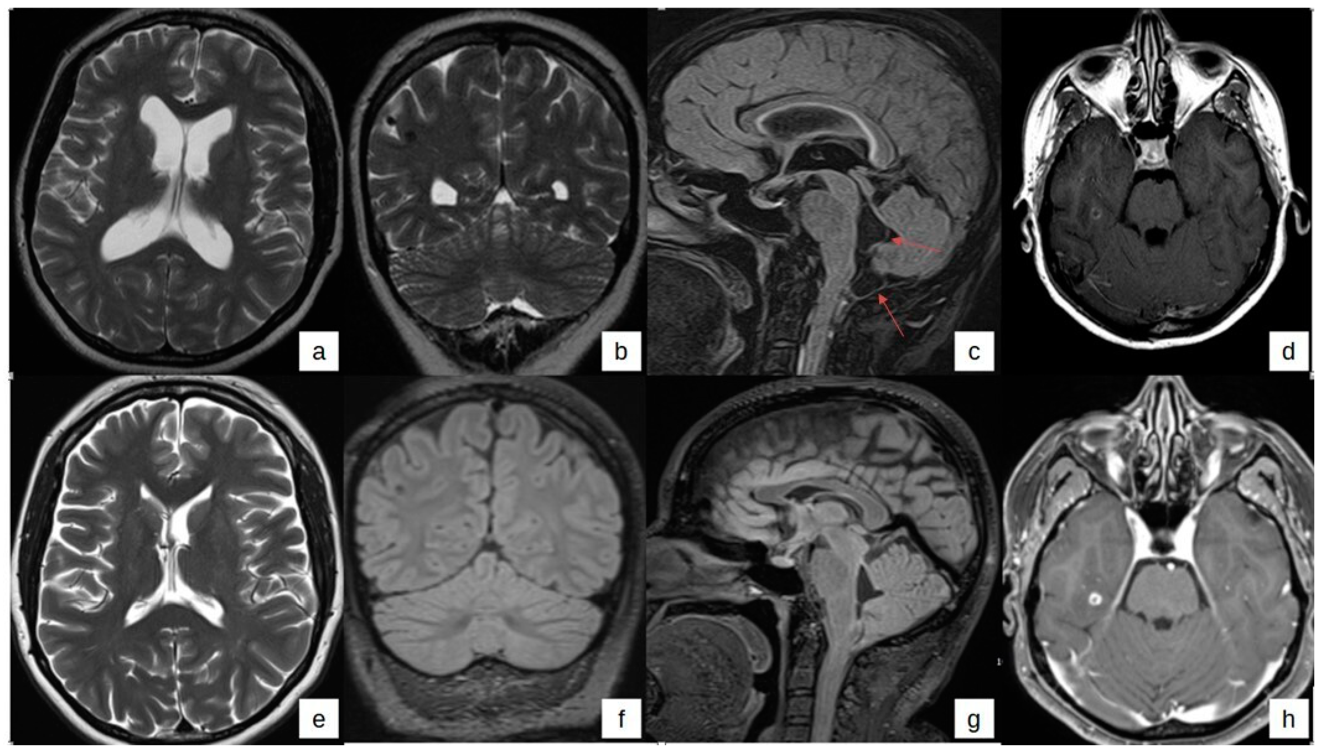 Tropicalmed 09 00187 g001