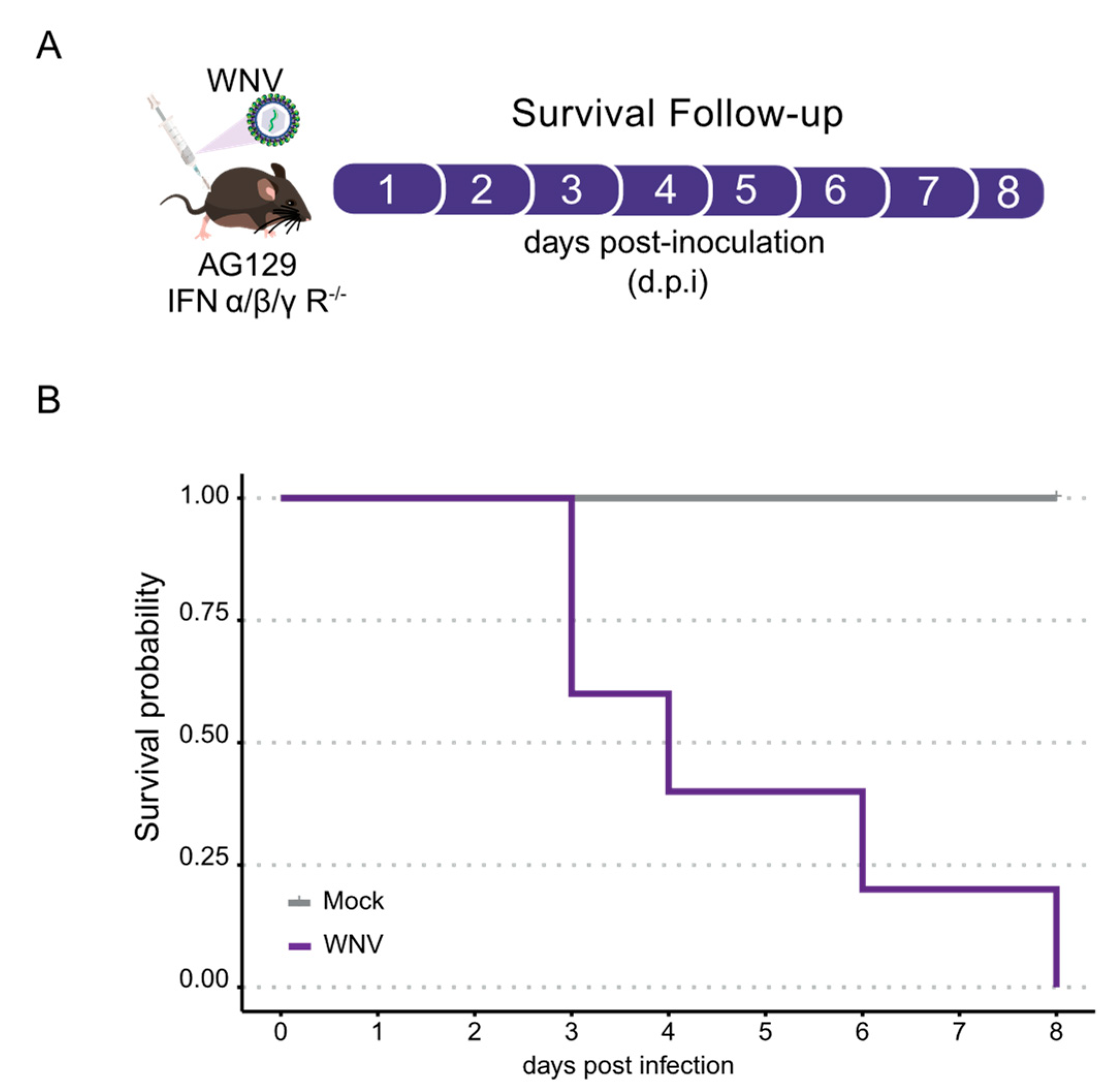 Tropicalmed 09 00201 g001