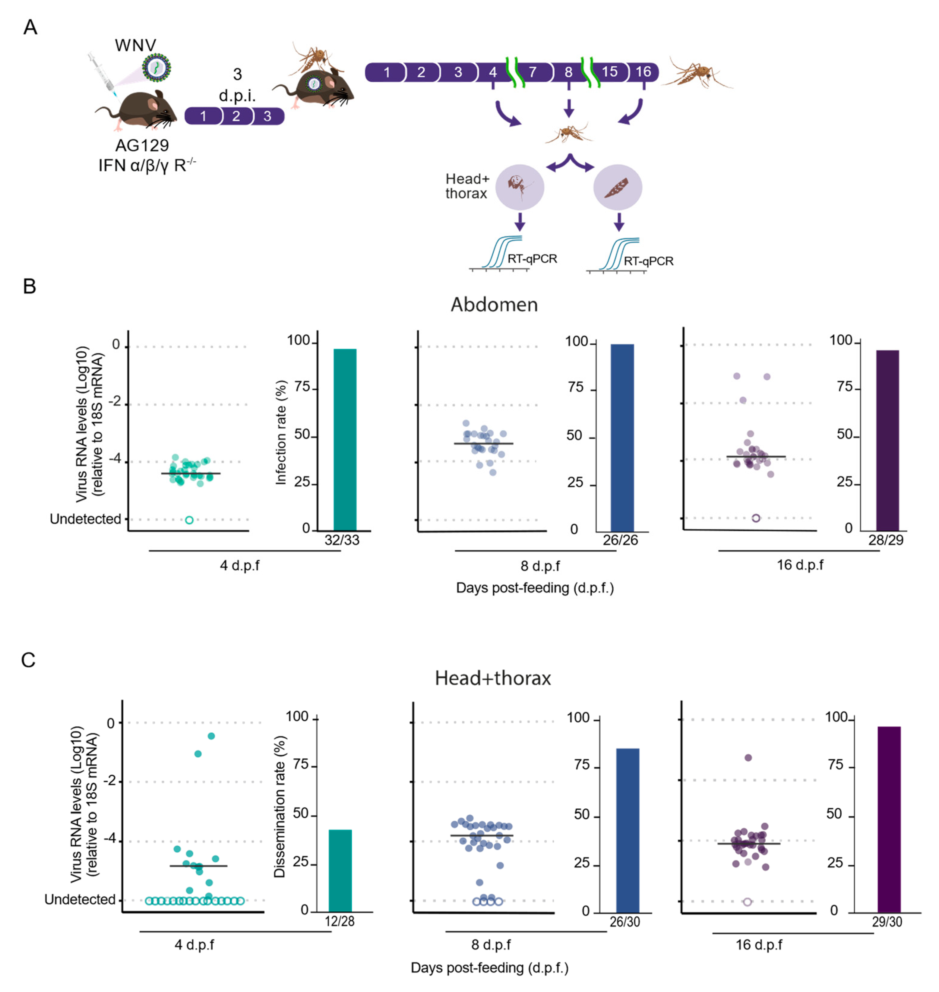 Tropicalmed 09 00201 g003