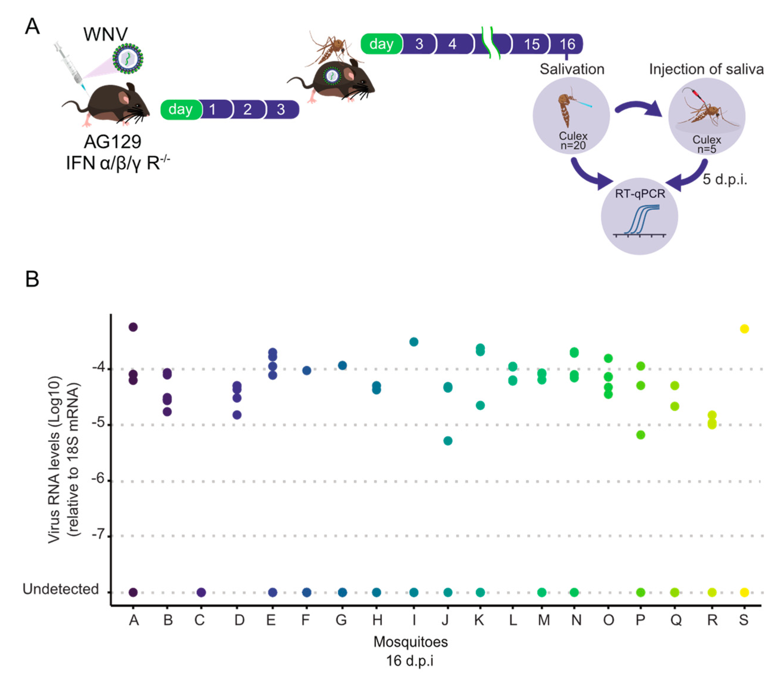 Tropicalmed 09 00201 g005