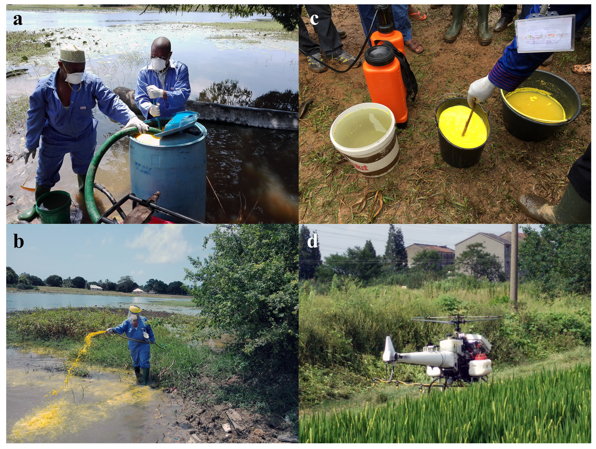 Tropicalmed 09 00222 g003 Tropicalmed 09 00222 g003