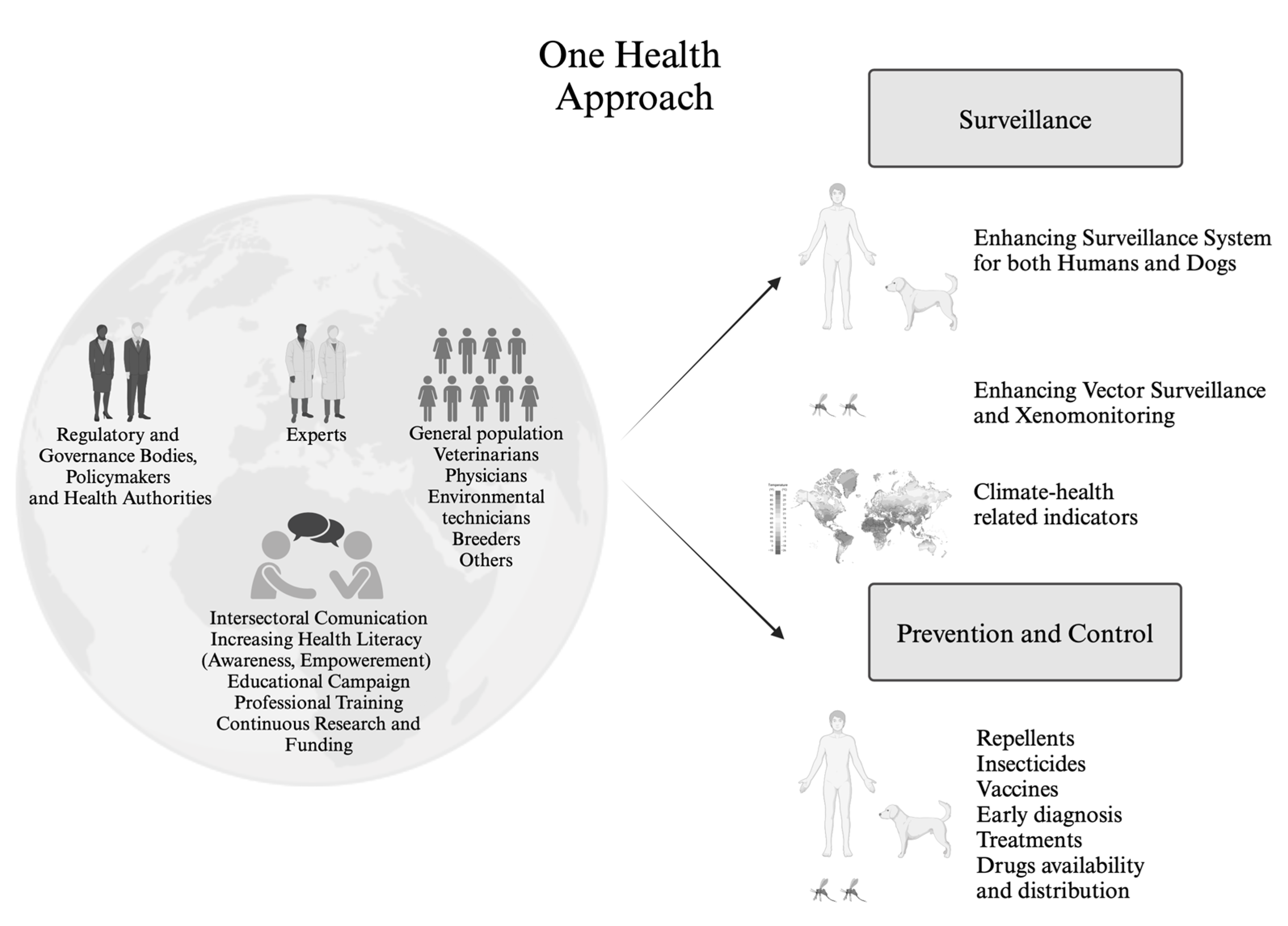 Tropicalmed 09 00258 g004