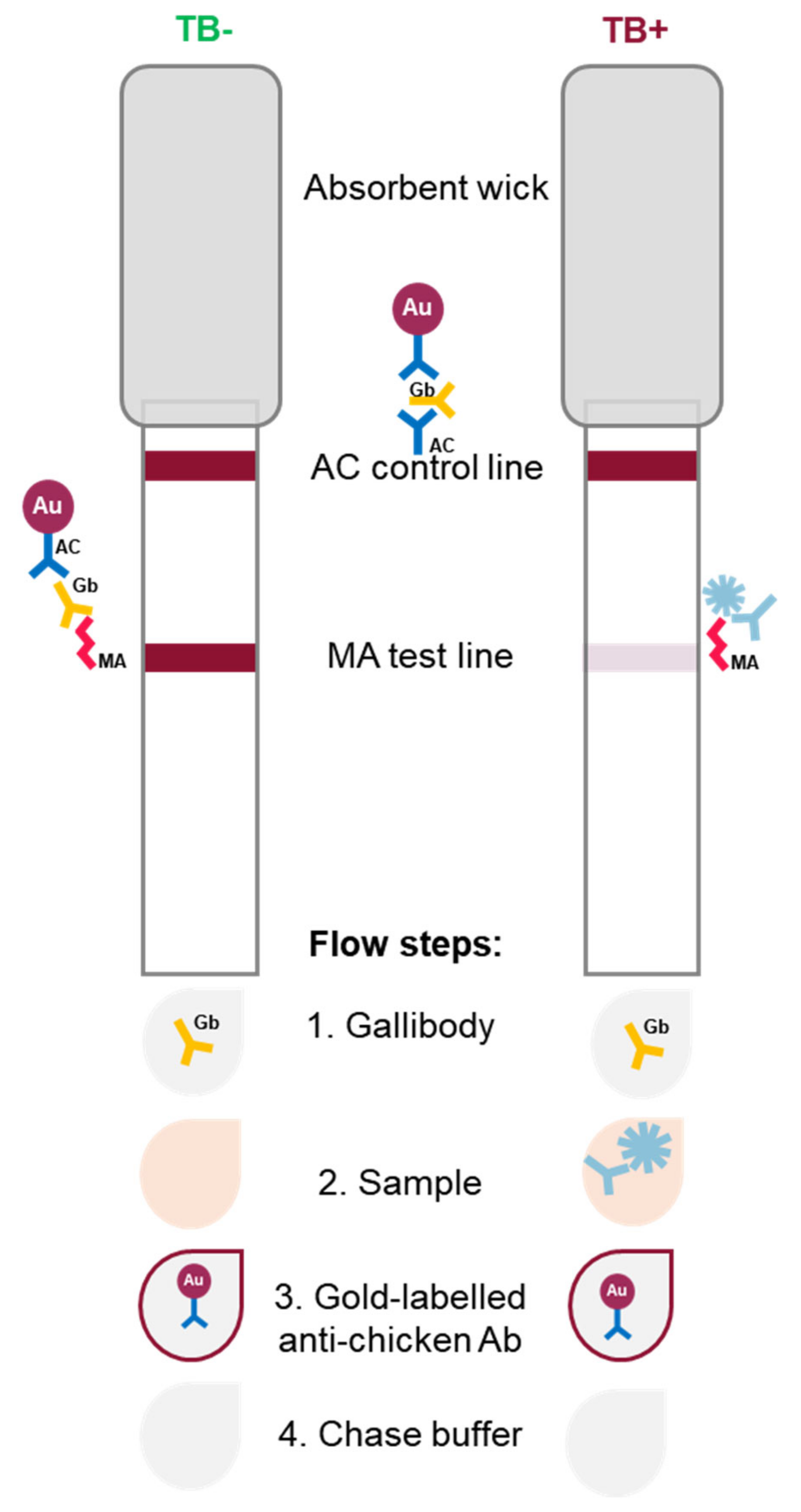Tropicalmed 09 00269 g001