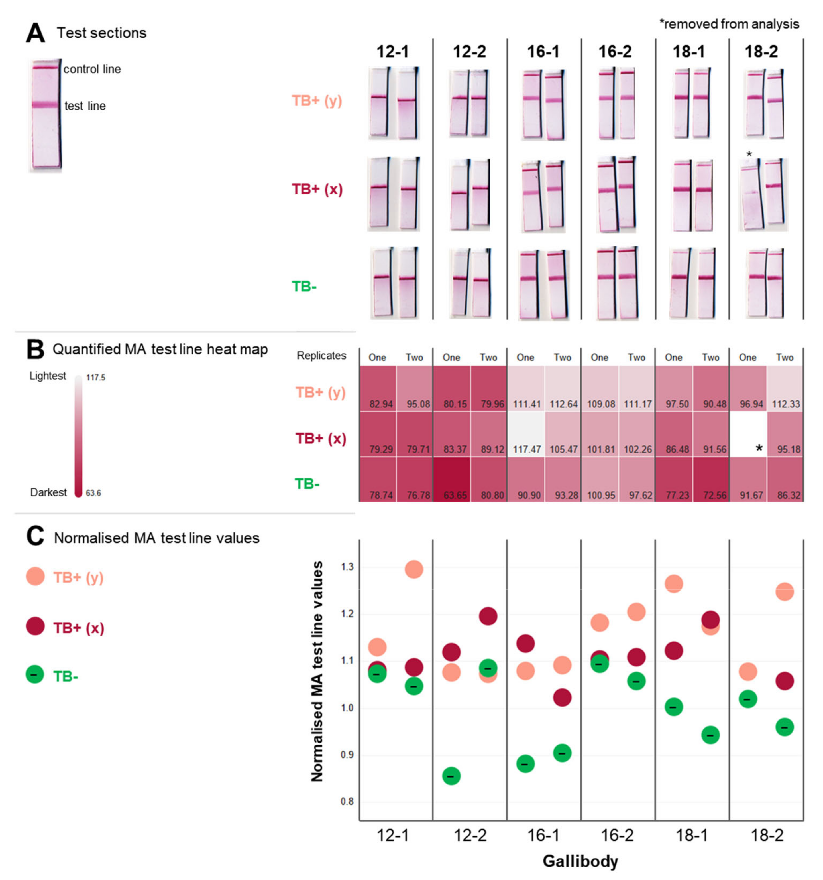 Tropicalmed 09 00269 g004