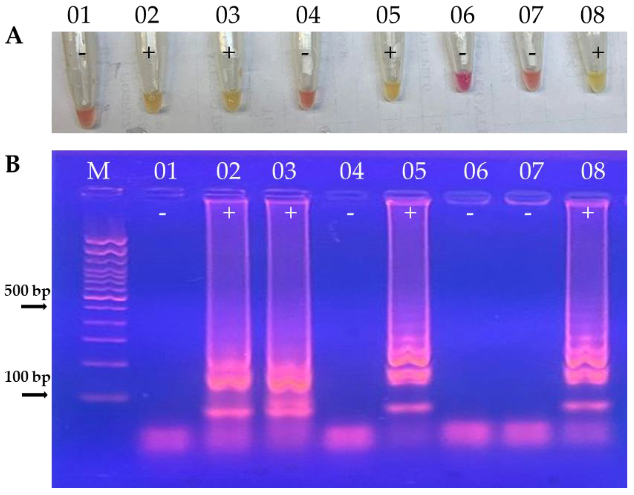 Tropicalmed 09 00277 g001 Tropicalmed 09 00277 g001