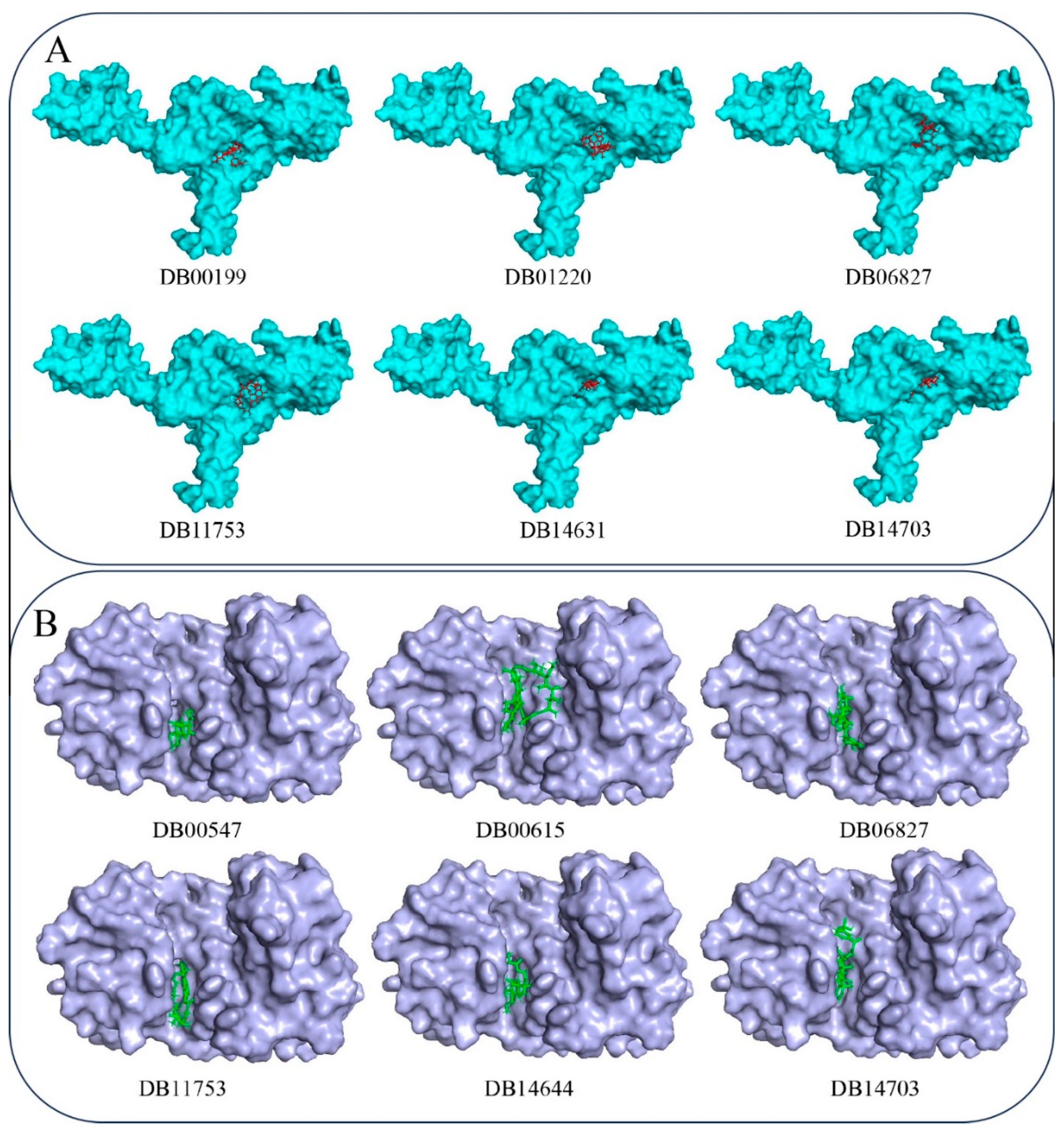 Tropicalmed 09 00288 g005