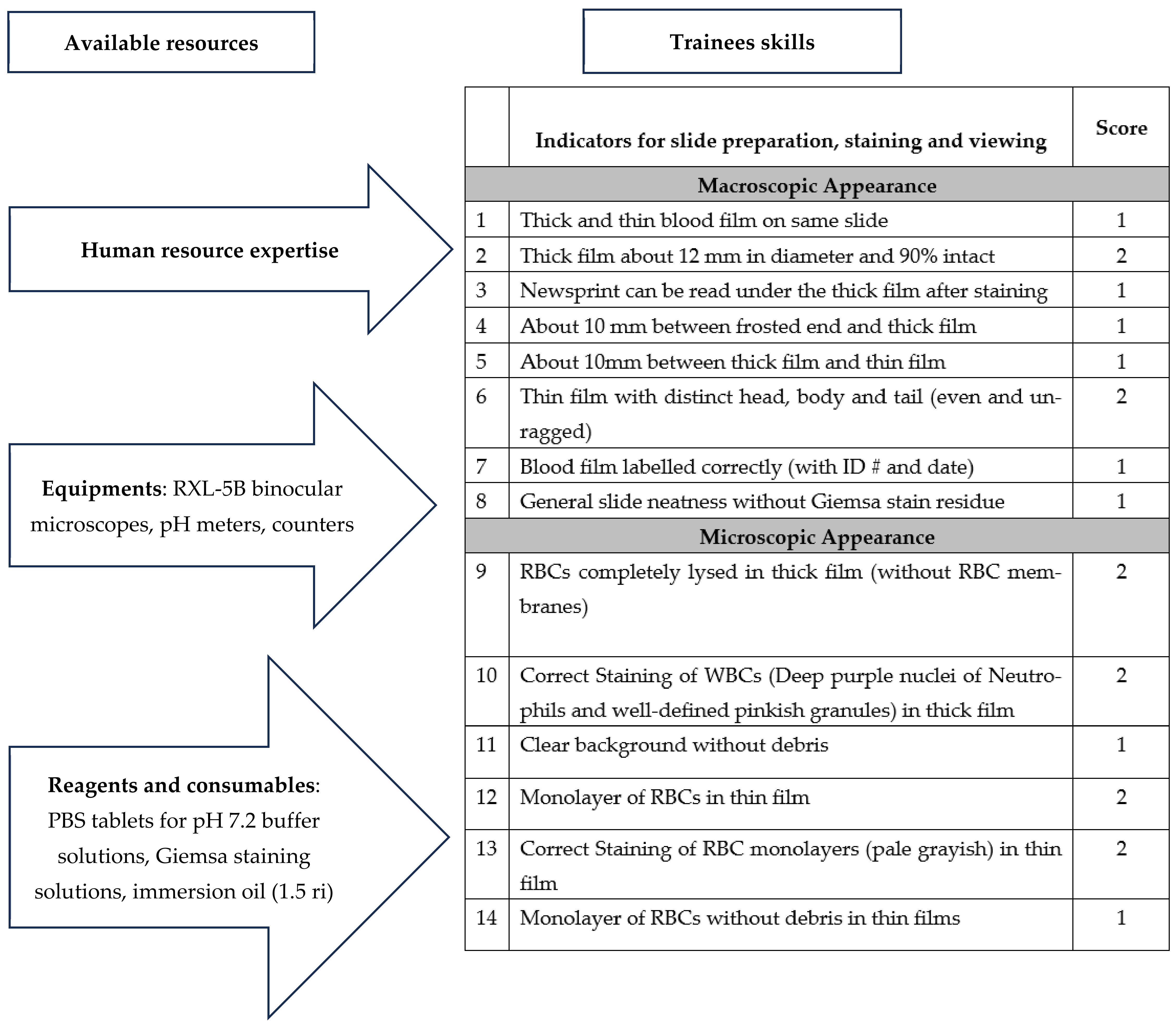 Tropicalmed 09 00308 g001