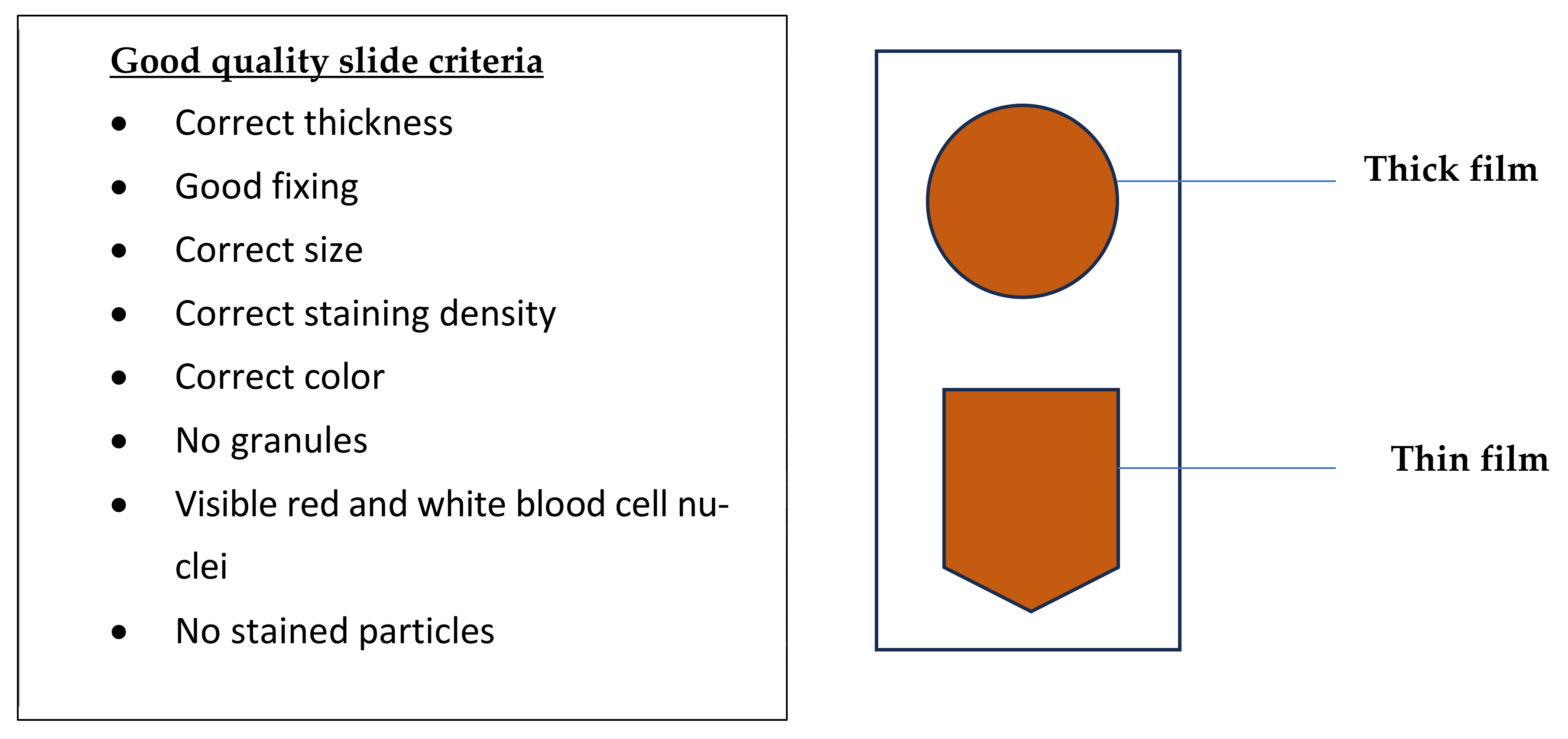 Tropicalmed 09 00308 g002