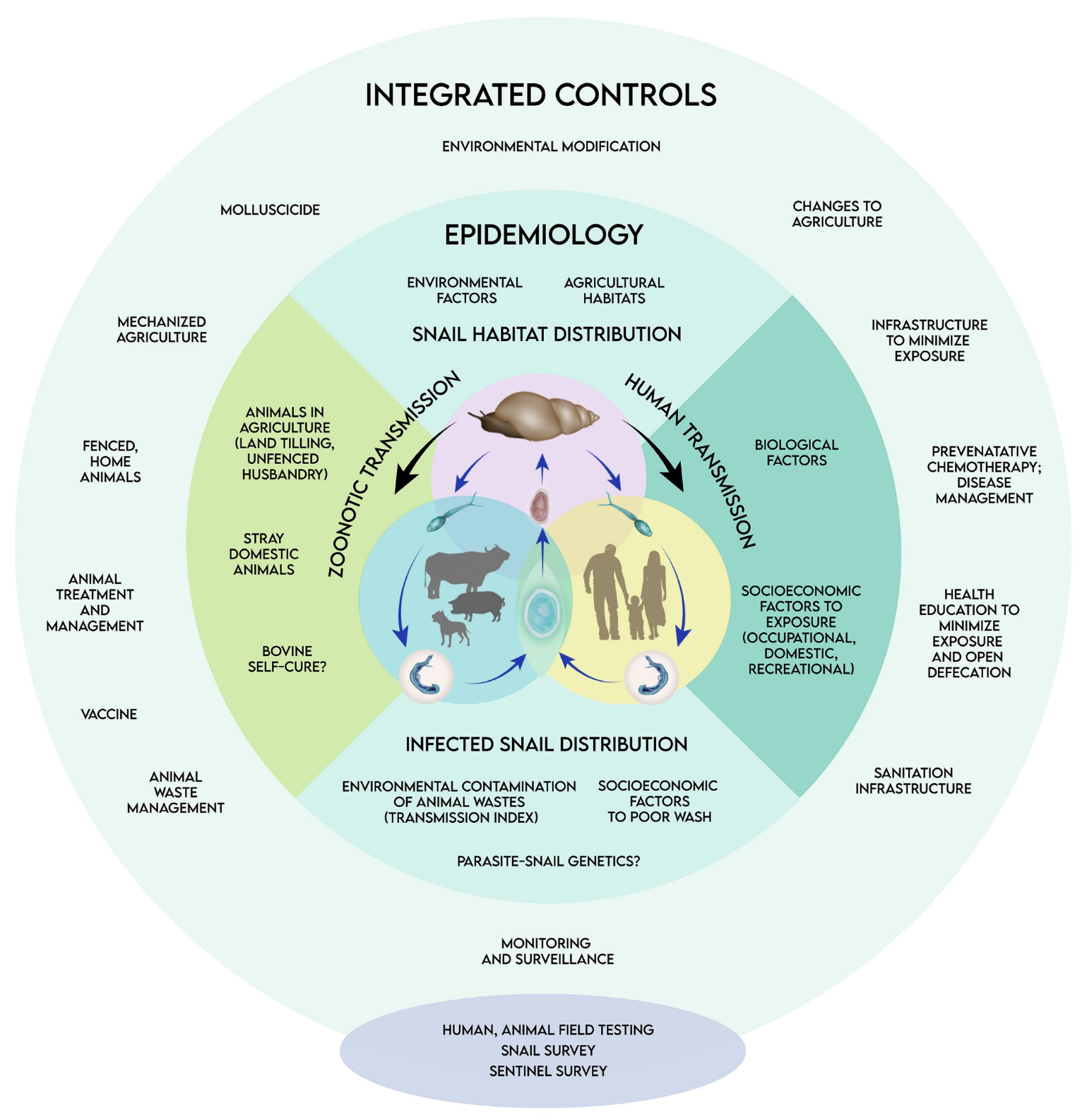 Tropicalmed 10 00029 g001 Tropicalmed 10 00029 g001