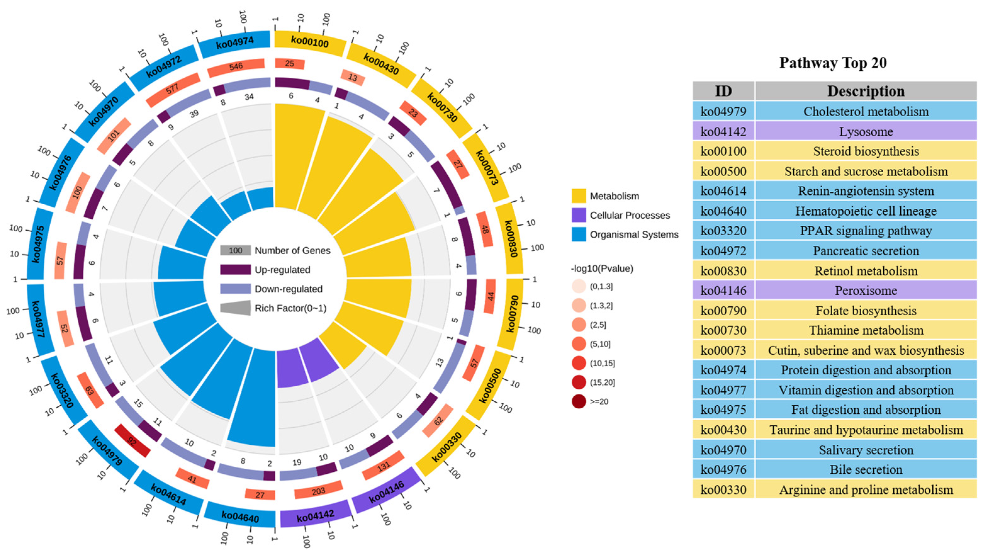 Tropicalmed 10 00031 g005