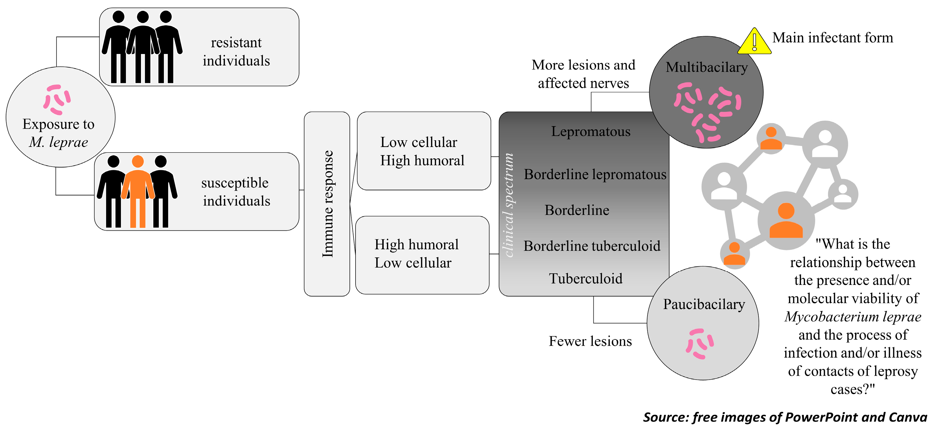 Tropicalmed 10 00032 g001 Tropicalmed 10 00032 g001