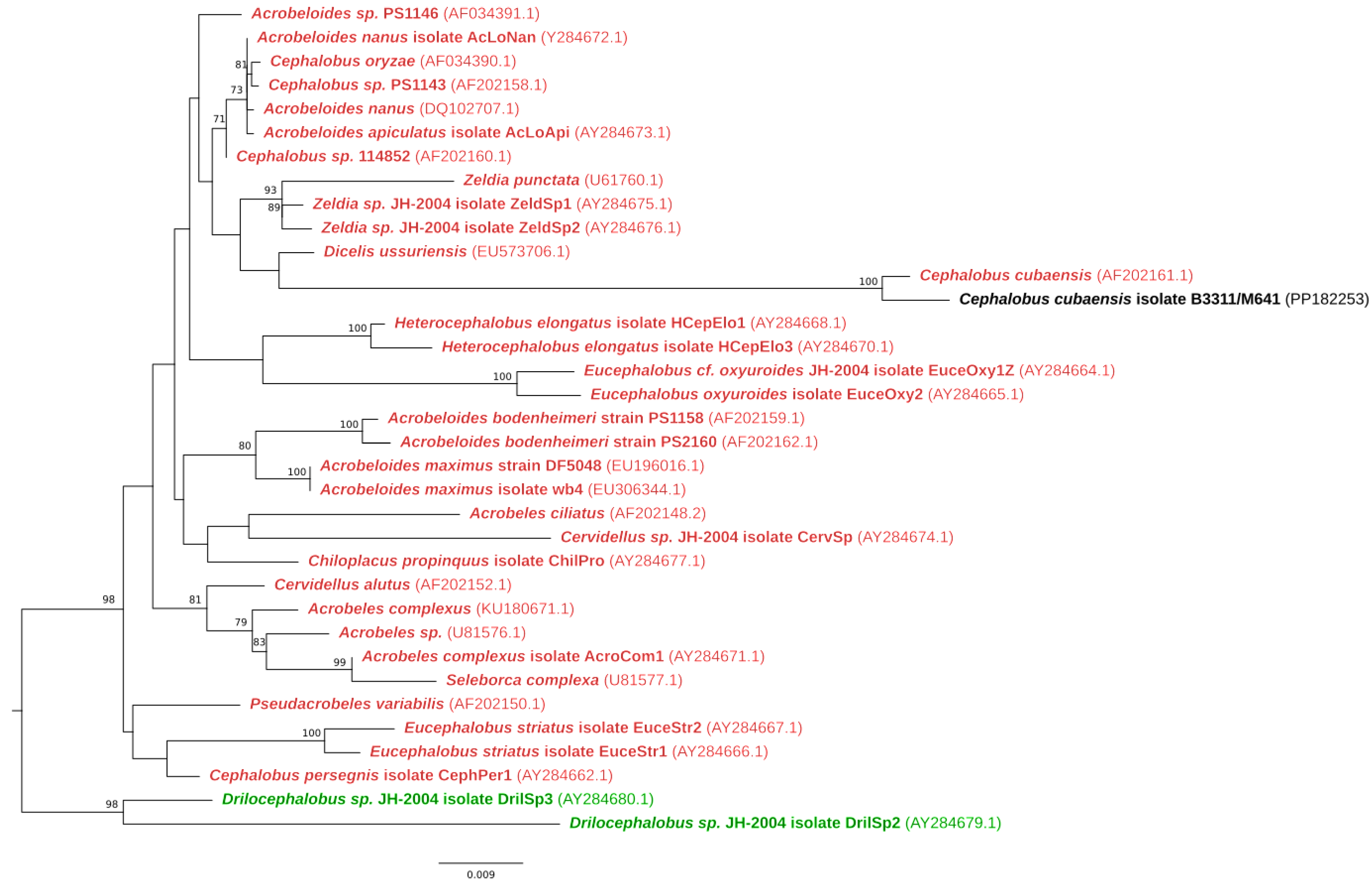 Tropicalmed 10 00037 g004