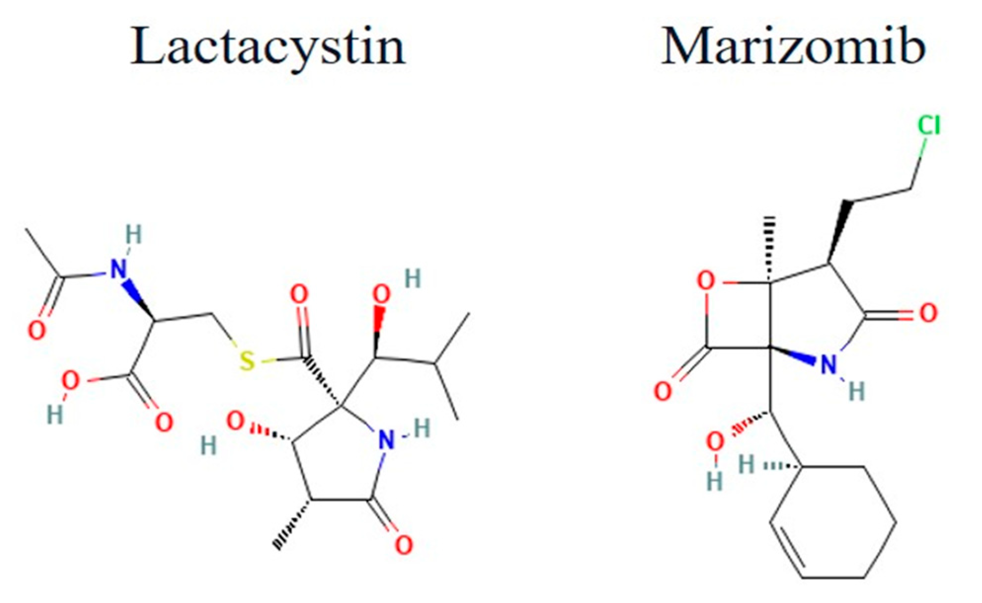 Tropicalmed 10 00094 g004